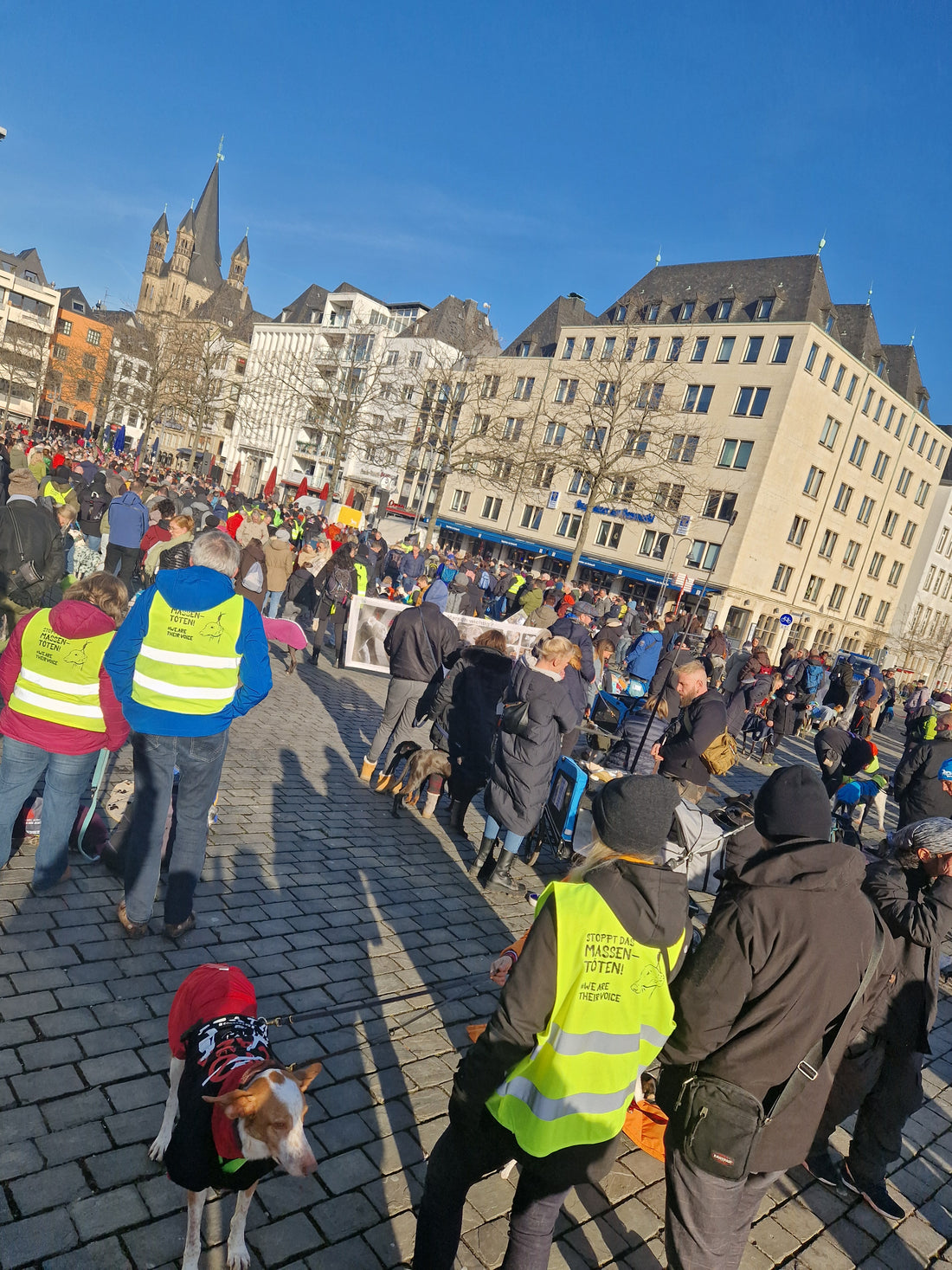 Kölner Galgomarsch 2024