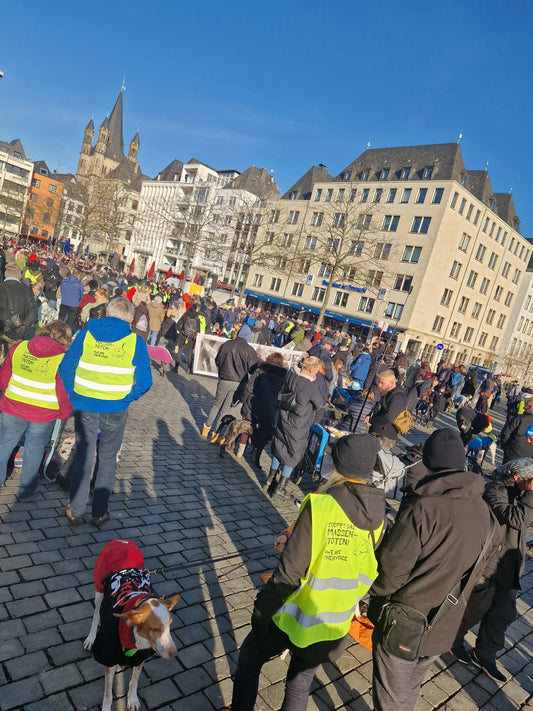Kölner Galgomarsch 2024