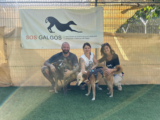 Besuch bei SOS Galgos 17.09.2024 🐾