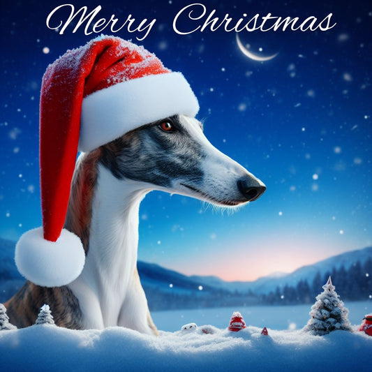 Weihnachtsspendenaktion Galgo Friends 2022