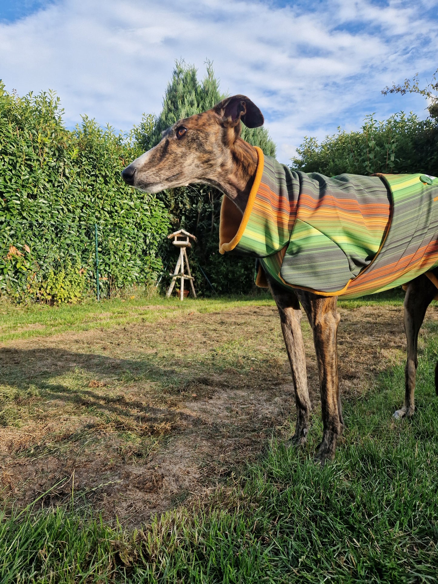 Schmale Streifen dunkelgrün-orange-gelb-hellgrün in Größe L