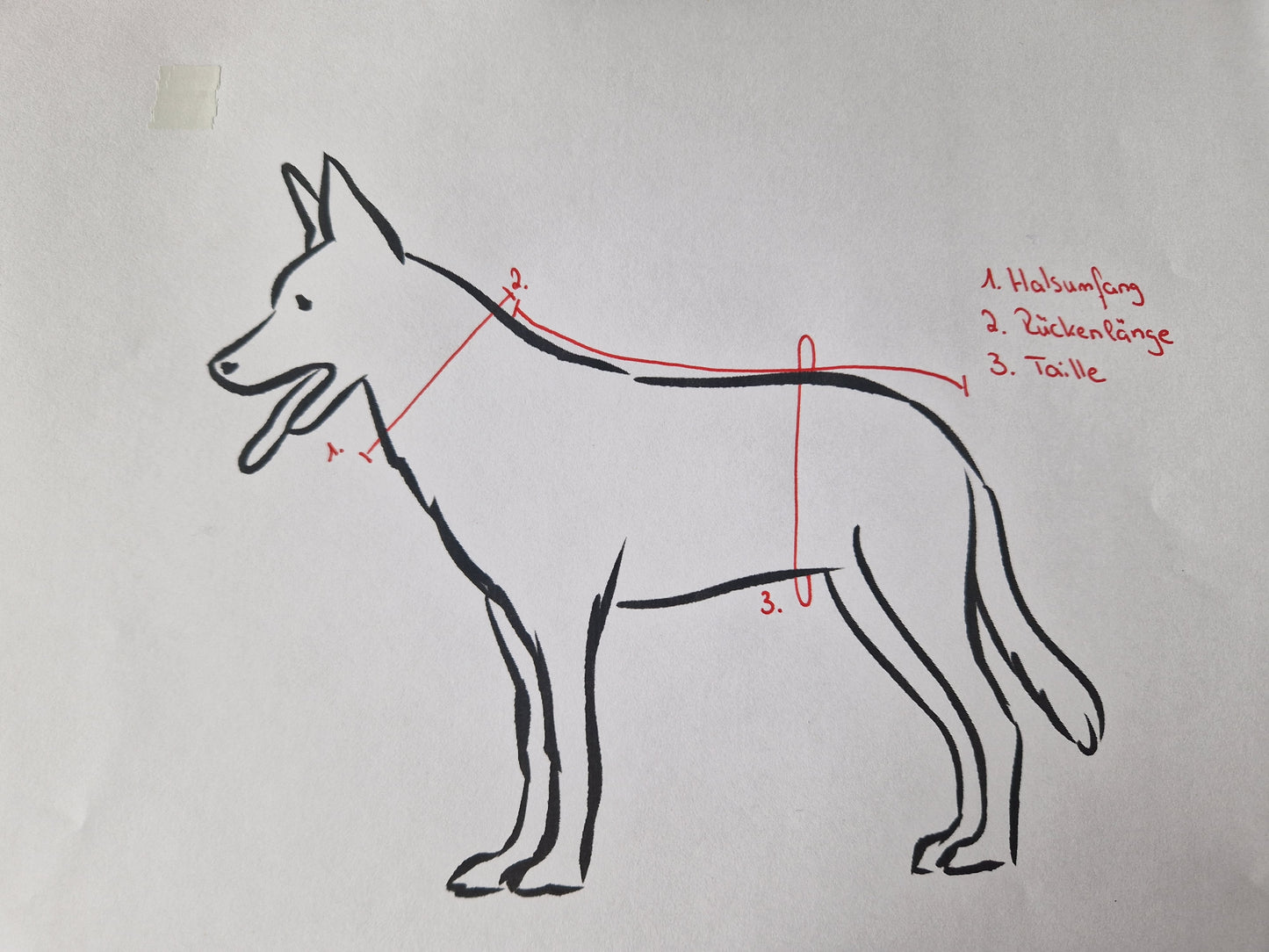 Bademantel little Mouse