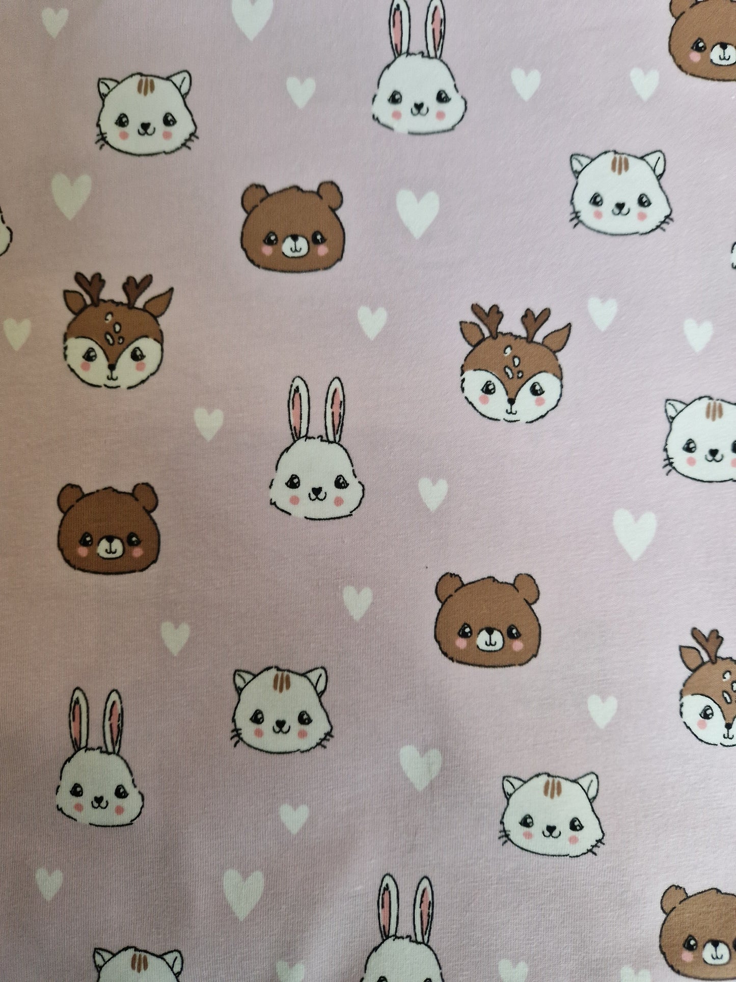 Longsleeve rose Wildtierkinder