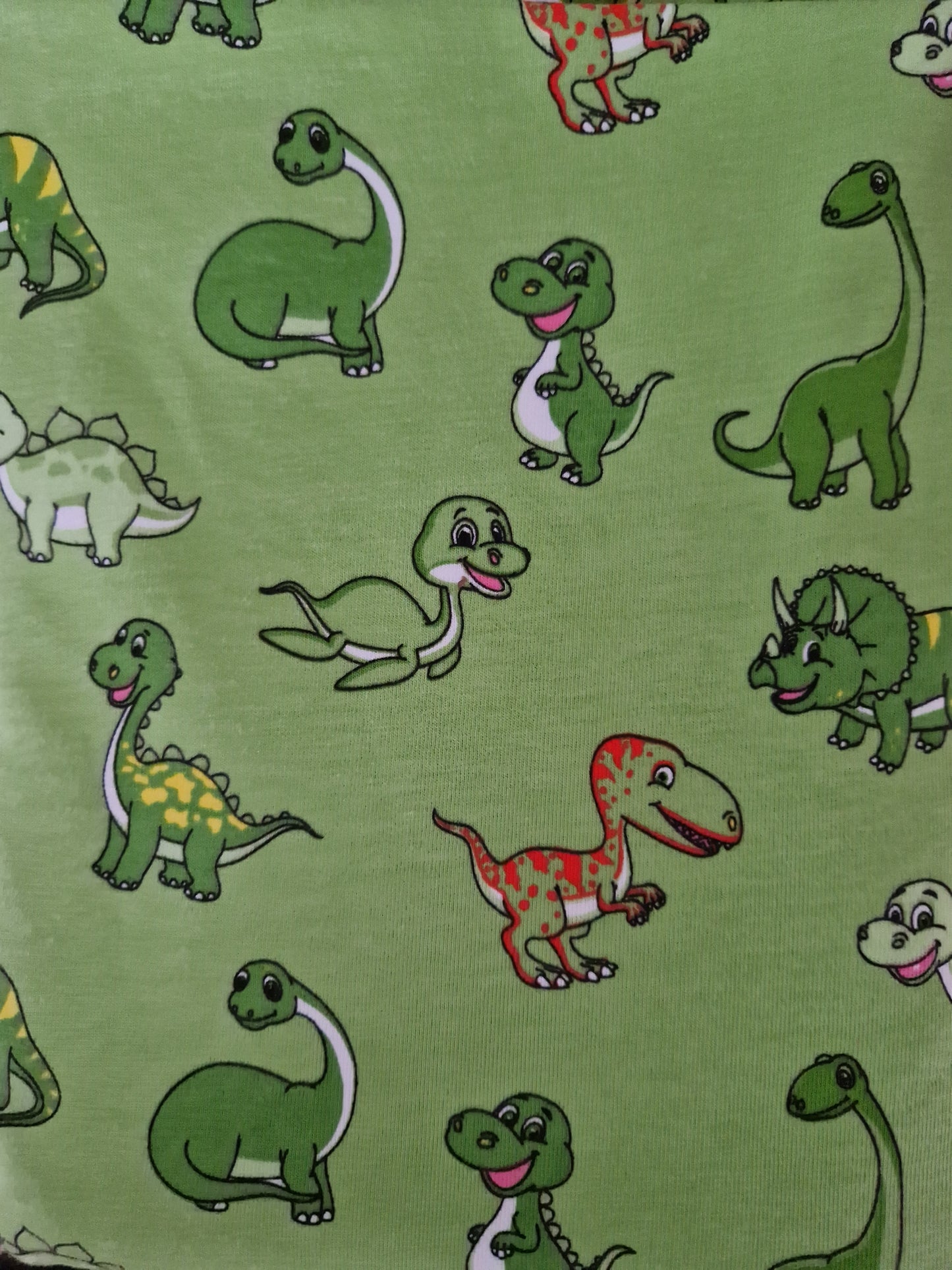 Longsleeve Green Dino