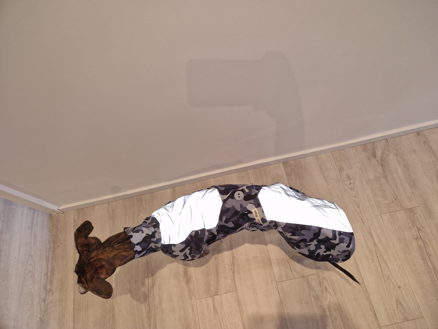 Regenmäntelchen Tarn/ Refelex Größe S