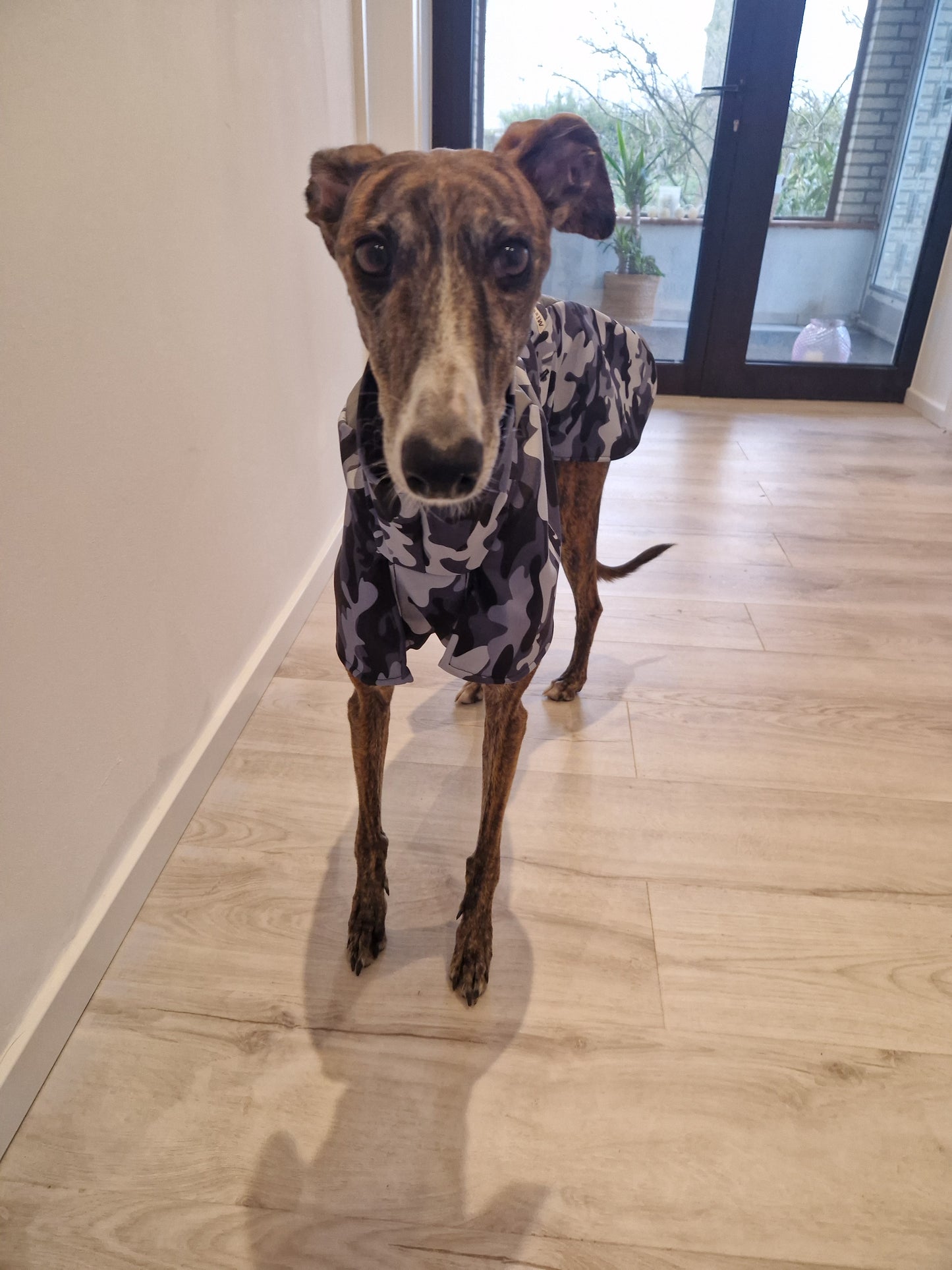 Regenmäntelchen Tarn/ Refelex Größe S