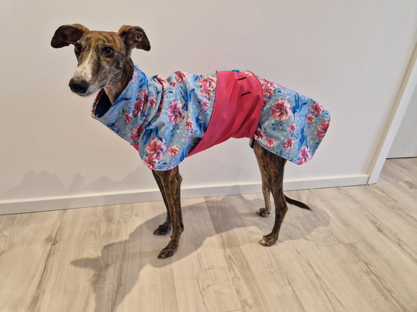 Regenmäntelchen Kolibri Größe M