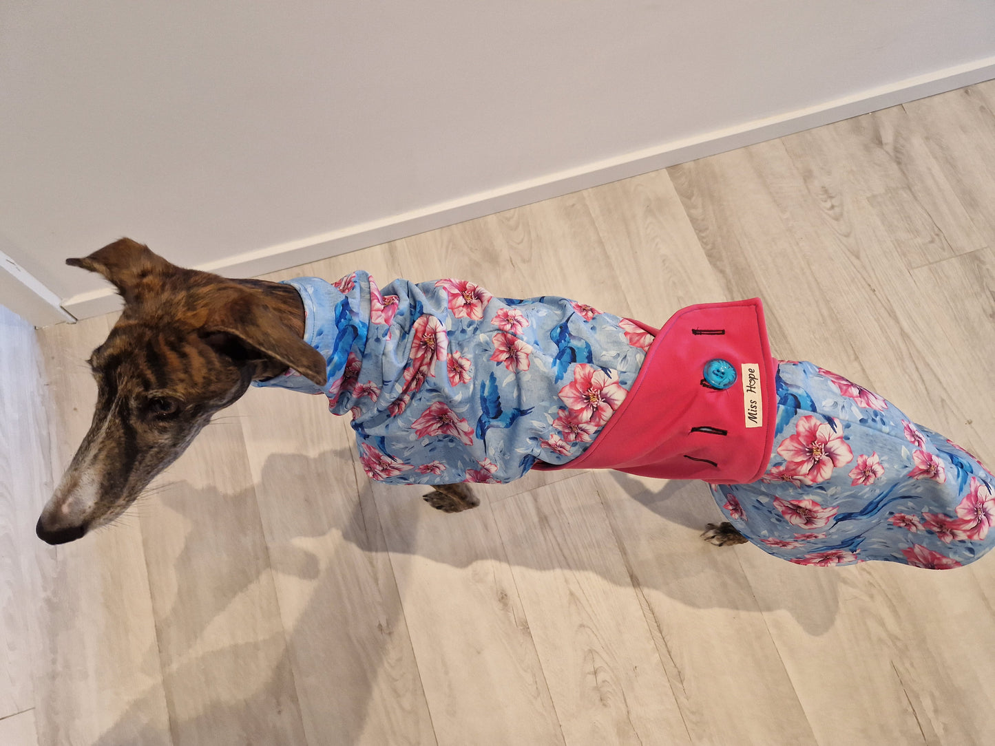 Regenmäntelchen Kolibri Größe M