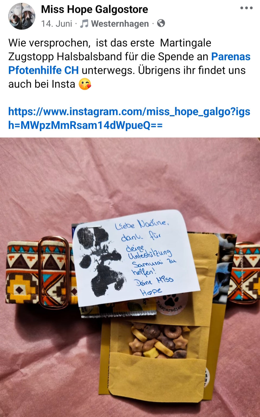 Opfer Samurai Martingale Zugstopp Halsband Aktion 2024