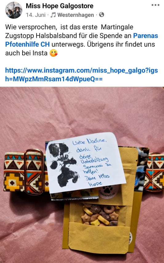 Opfer Samurai Martingale Zugstopp Halsband Aktion 2024