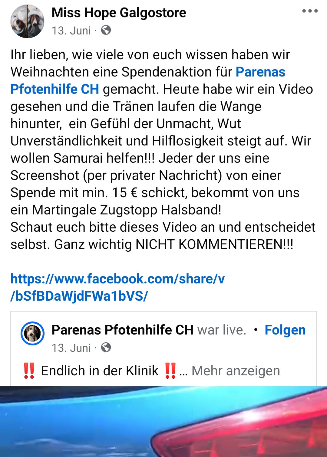 Opfer Samurai Martingale Zugstopp Halsband Aktion 2024