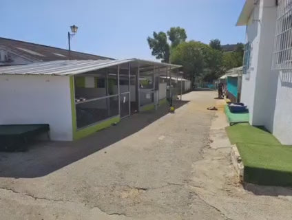 Weihnachtsspendenaktion Parenas Pfotenhilfe CH 2023