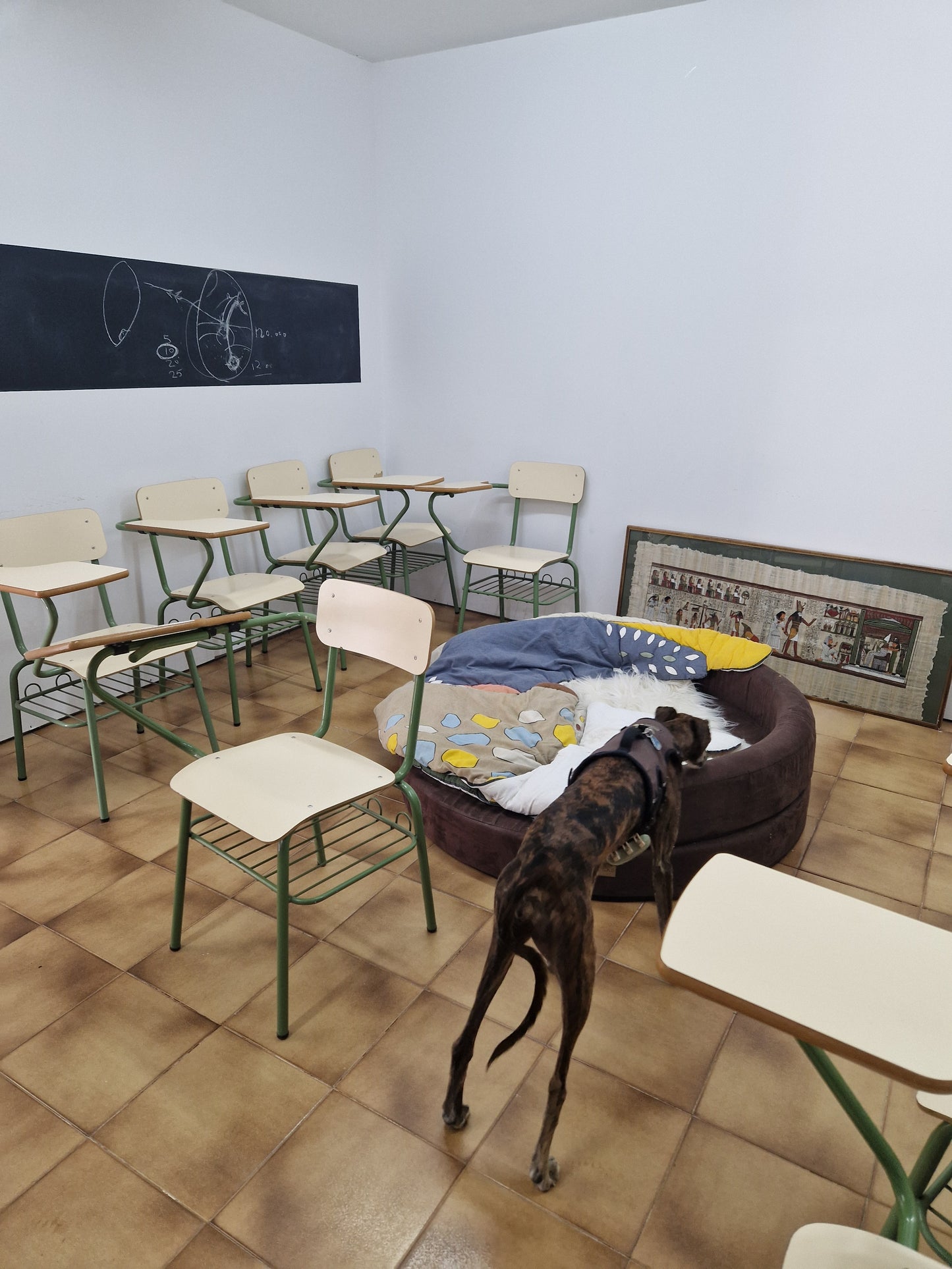 Besuch bei SOS Galgos 17.09.2024