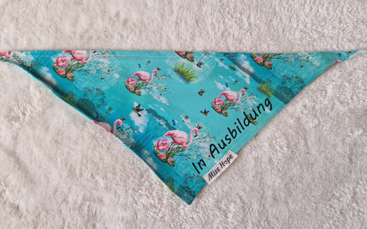 Halstuch In Ausbildund