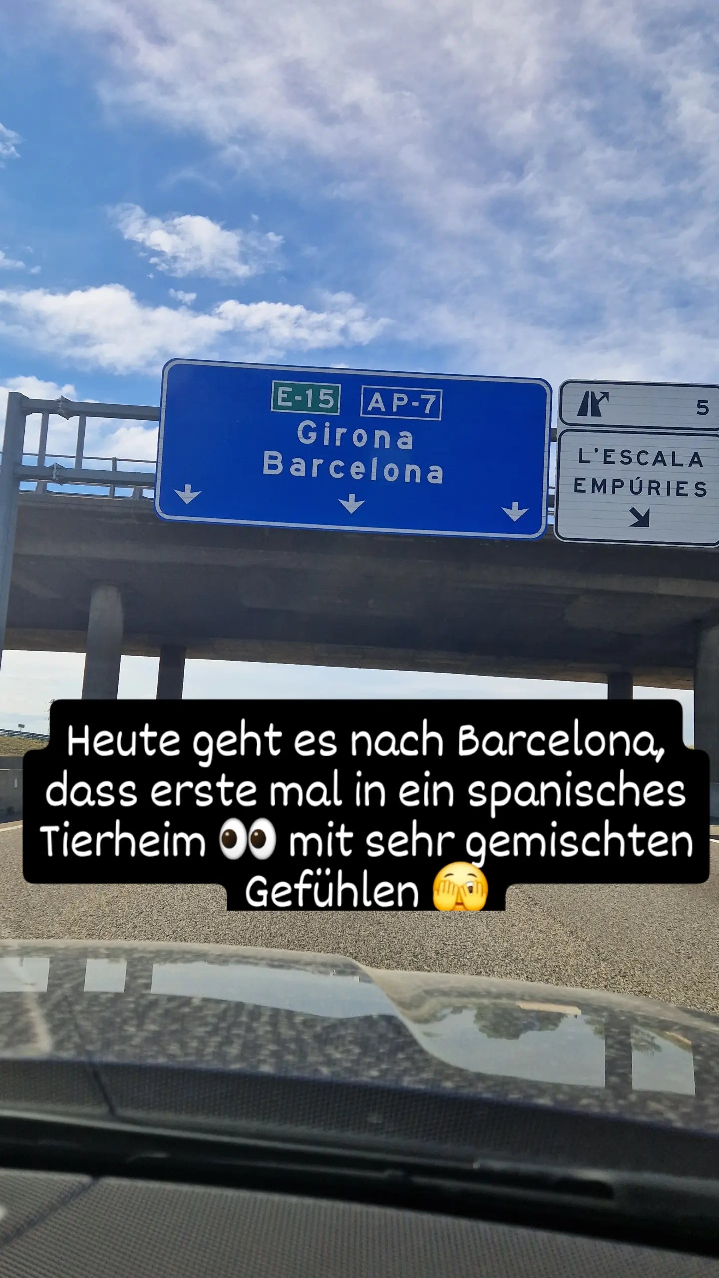 Besuch bei SOS Galgos 17.09.2024