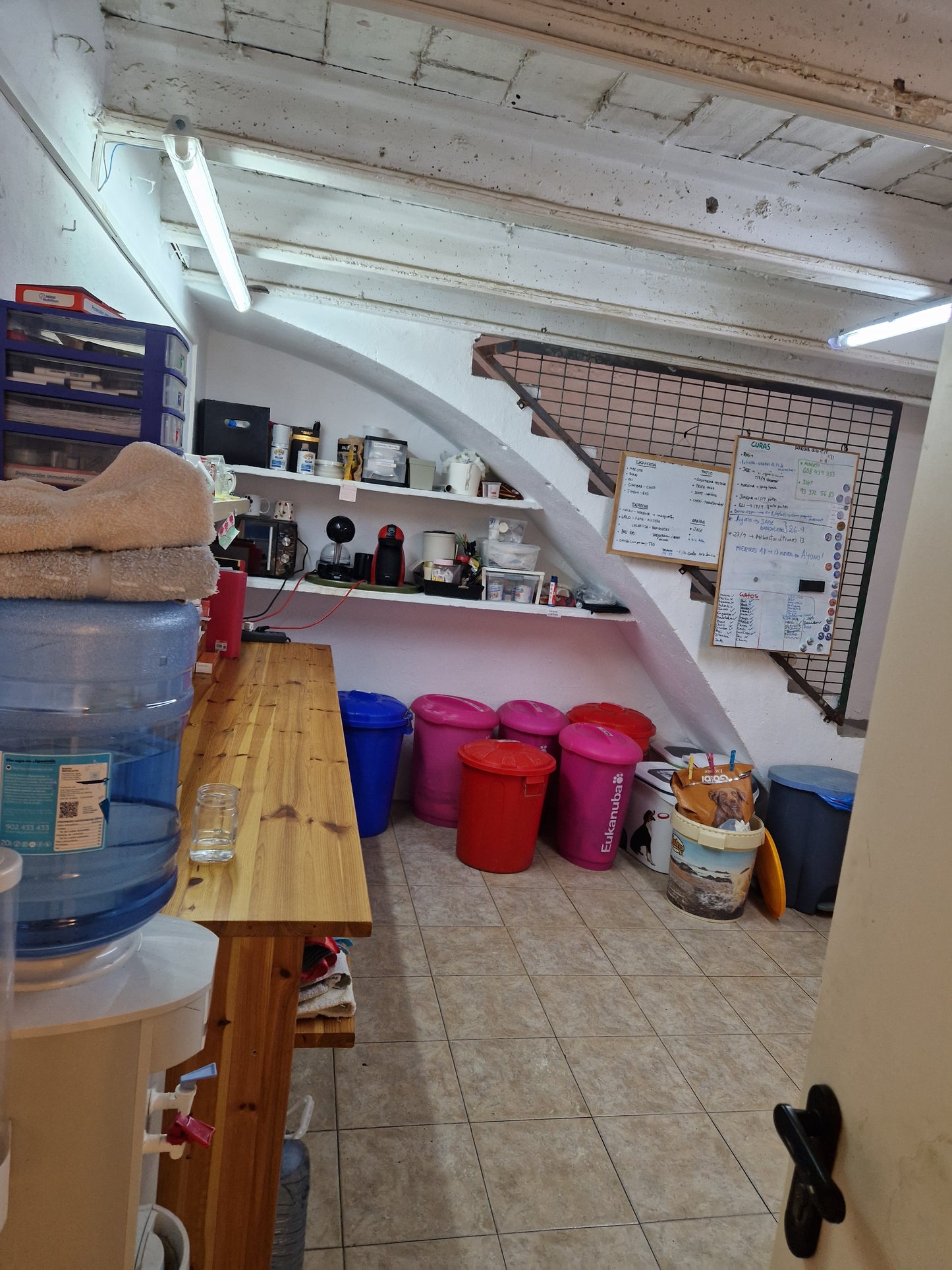 Besuch bei SOS Galgos 17.09.2024