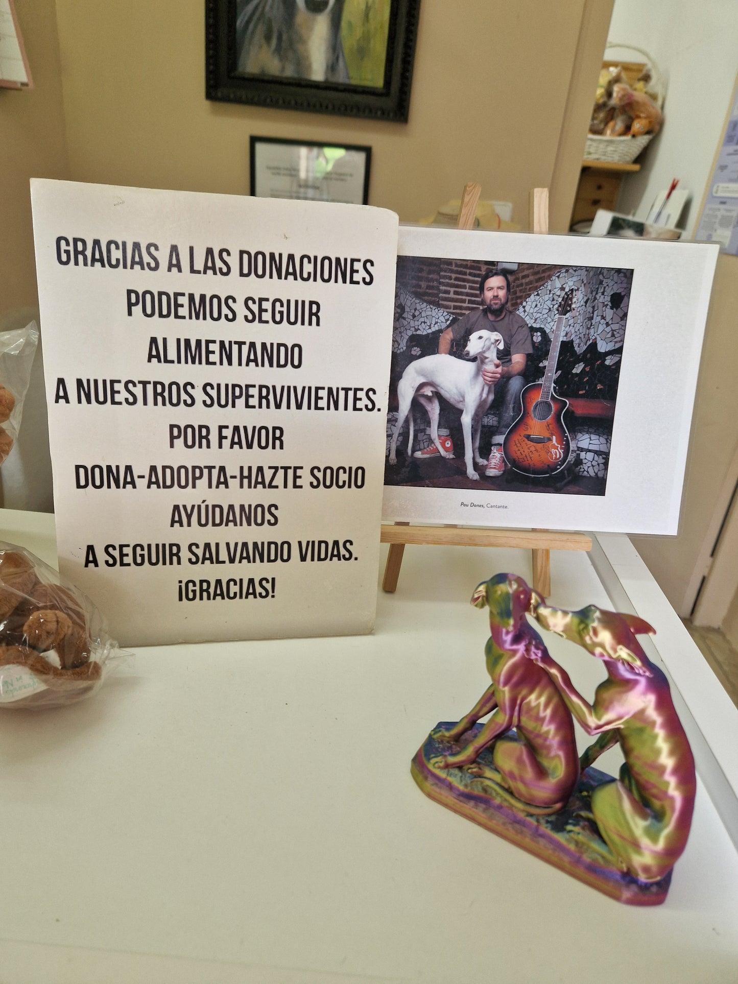 Besuch bei SOS Galgos 17.09.2024