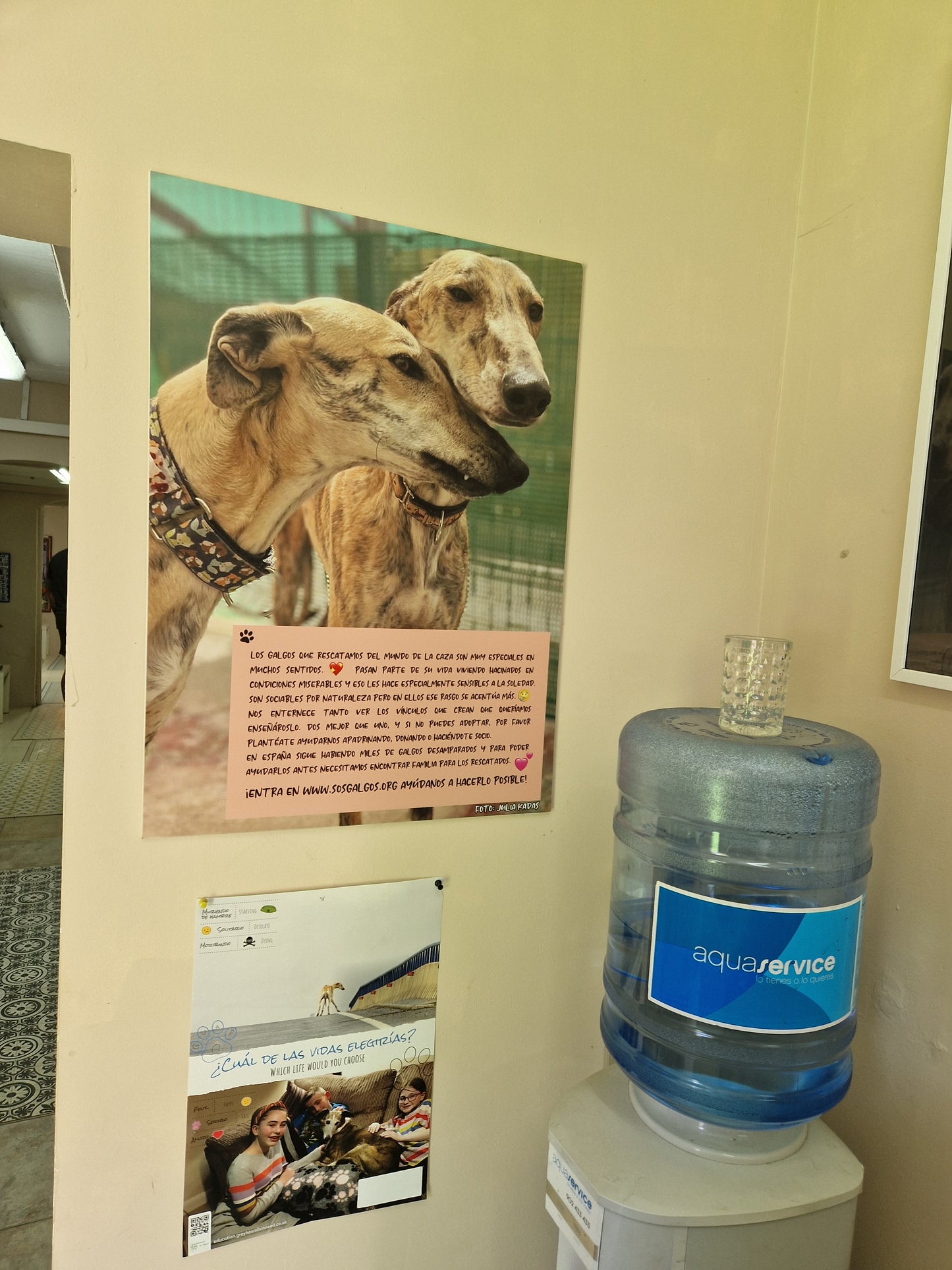 Besuch bei SOS Galgos 17.09.2024