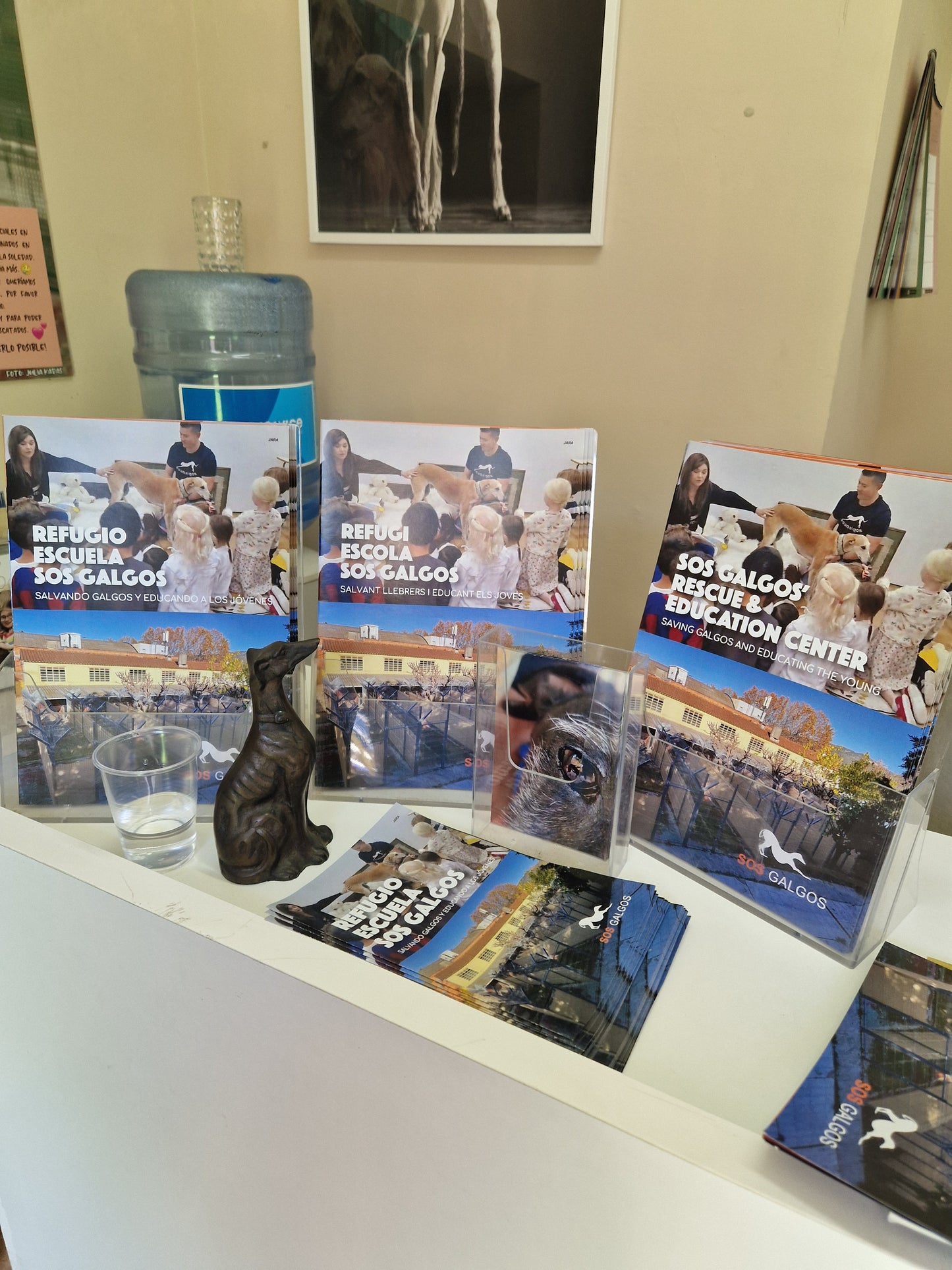 Besuch bei SOS Galgos 17.09.2024