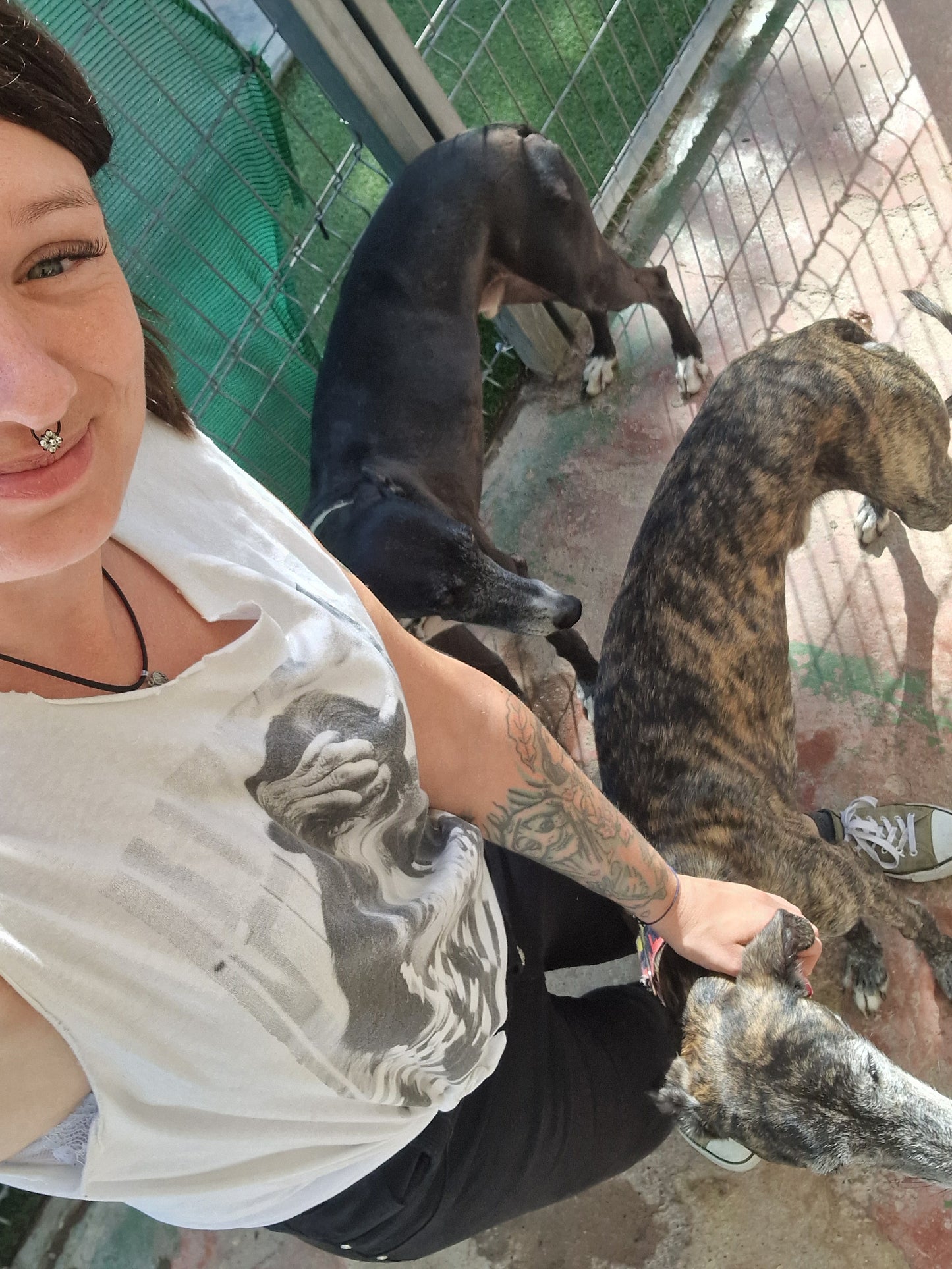 Besuch bei SOS Galgos 17.09.2024