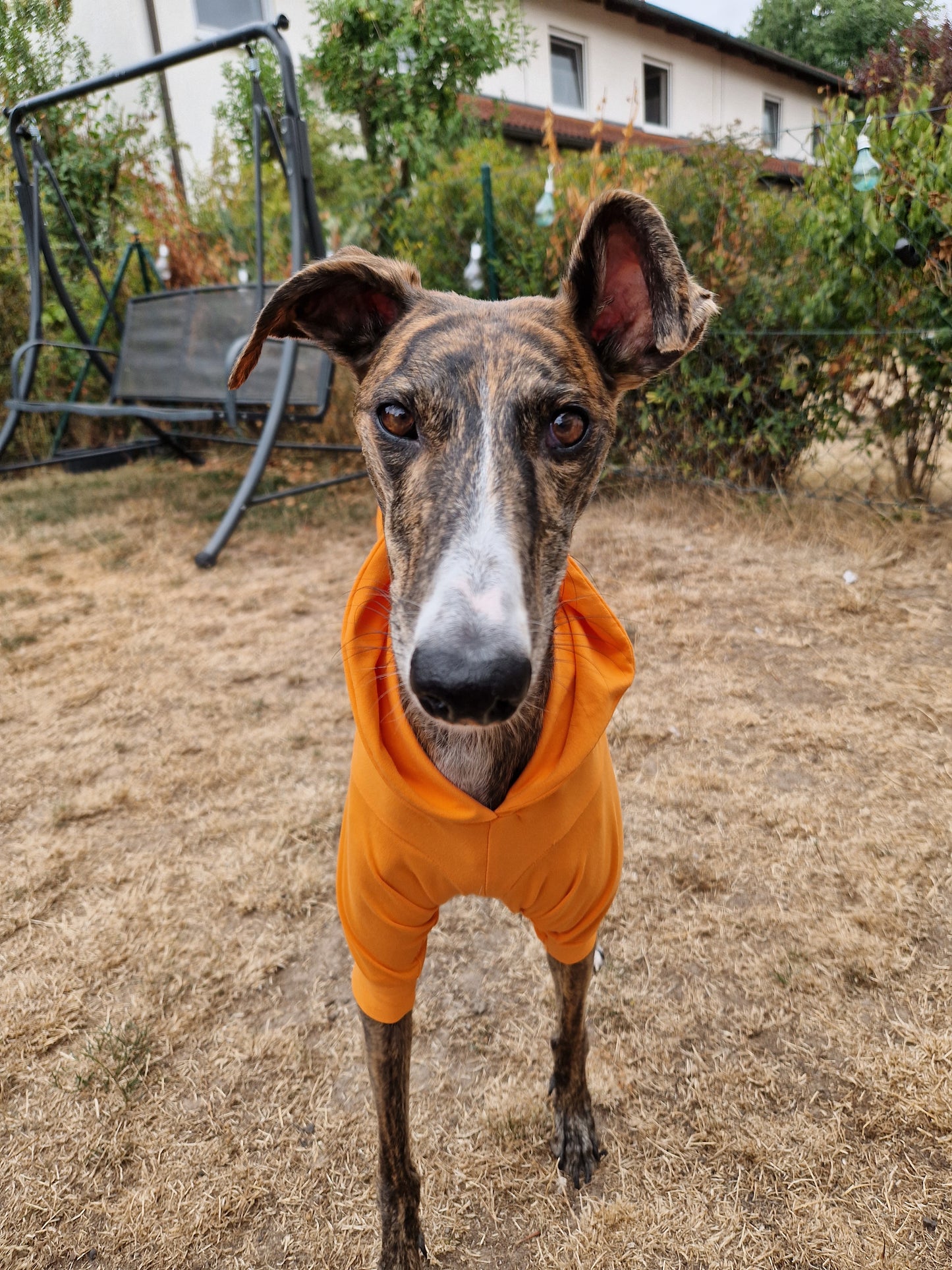 Longsleeve Prison Blues