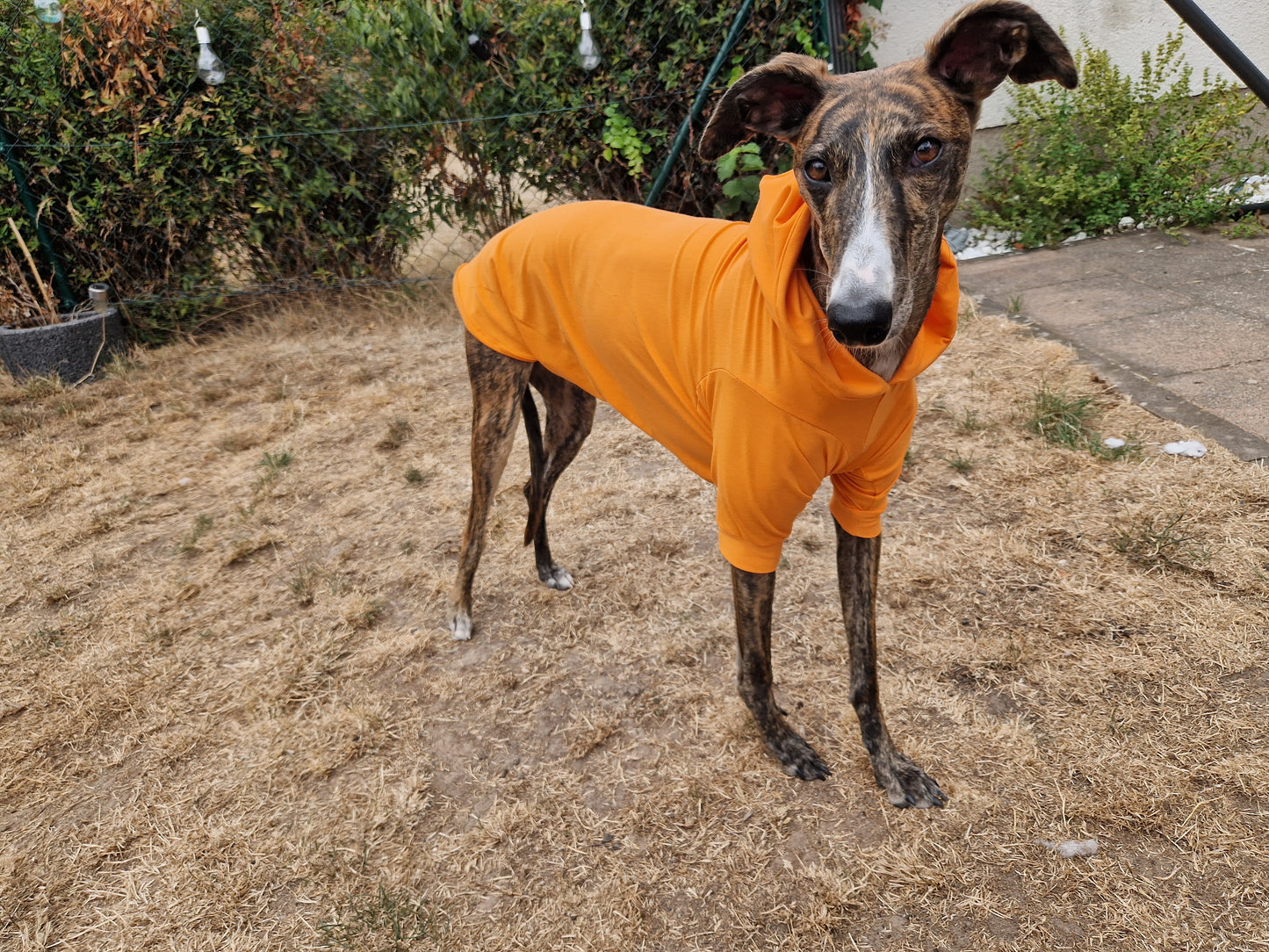 Longsleeve Prison Blues