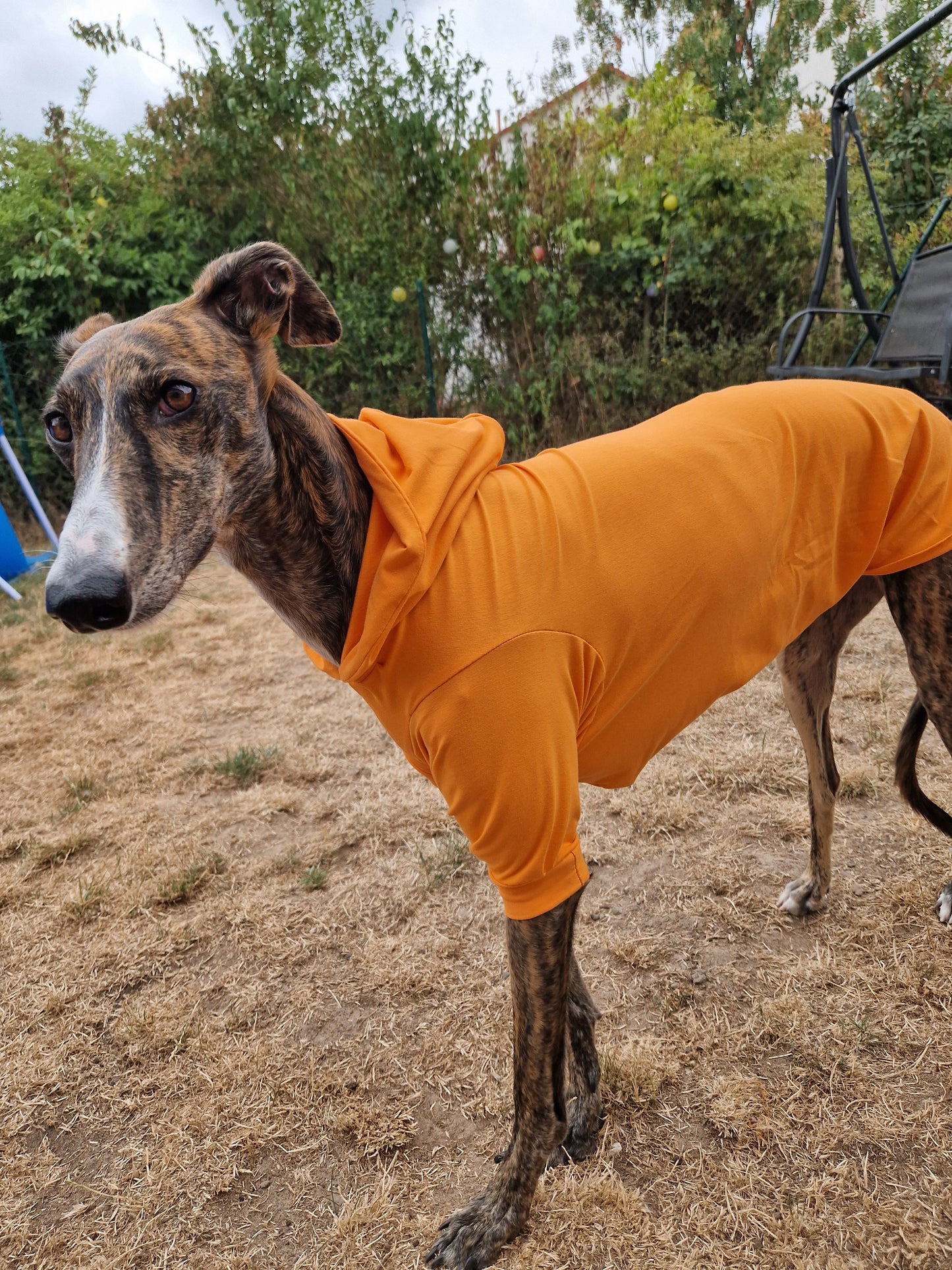 Longsleeve Prison Blues