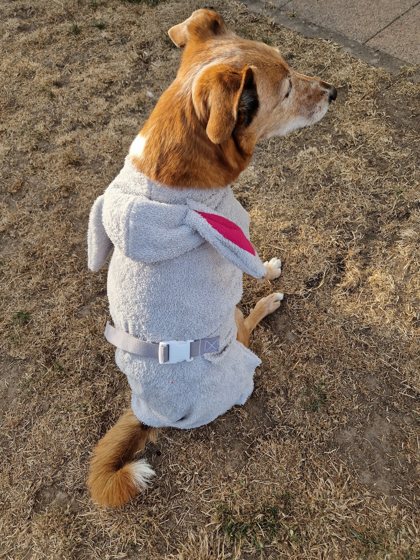 Bademantel little Sheep