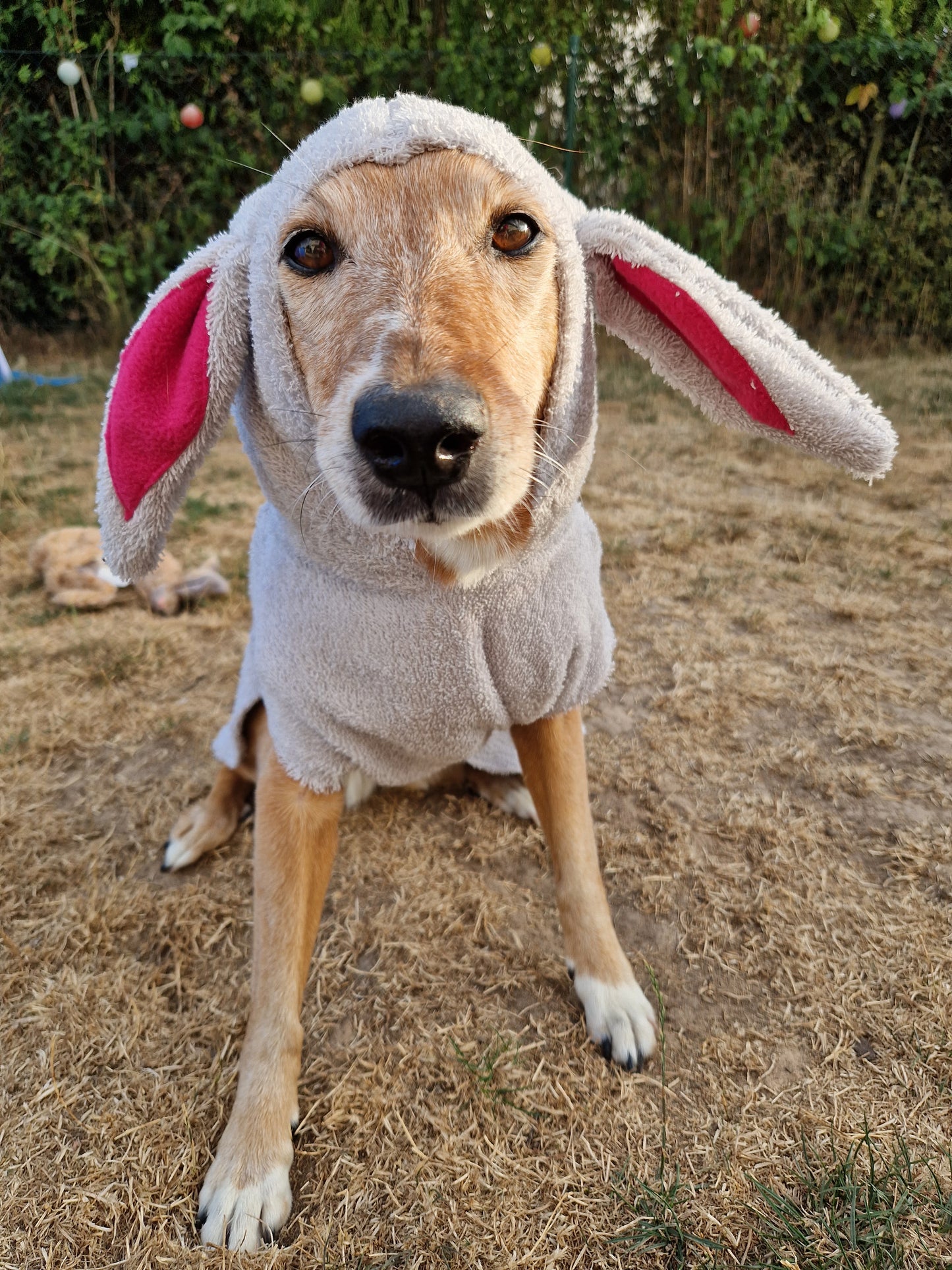 Bademantel little Sheep