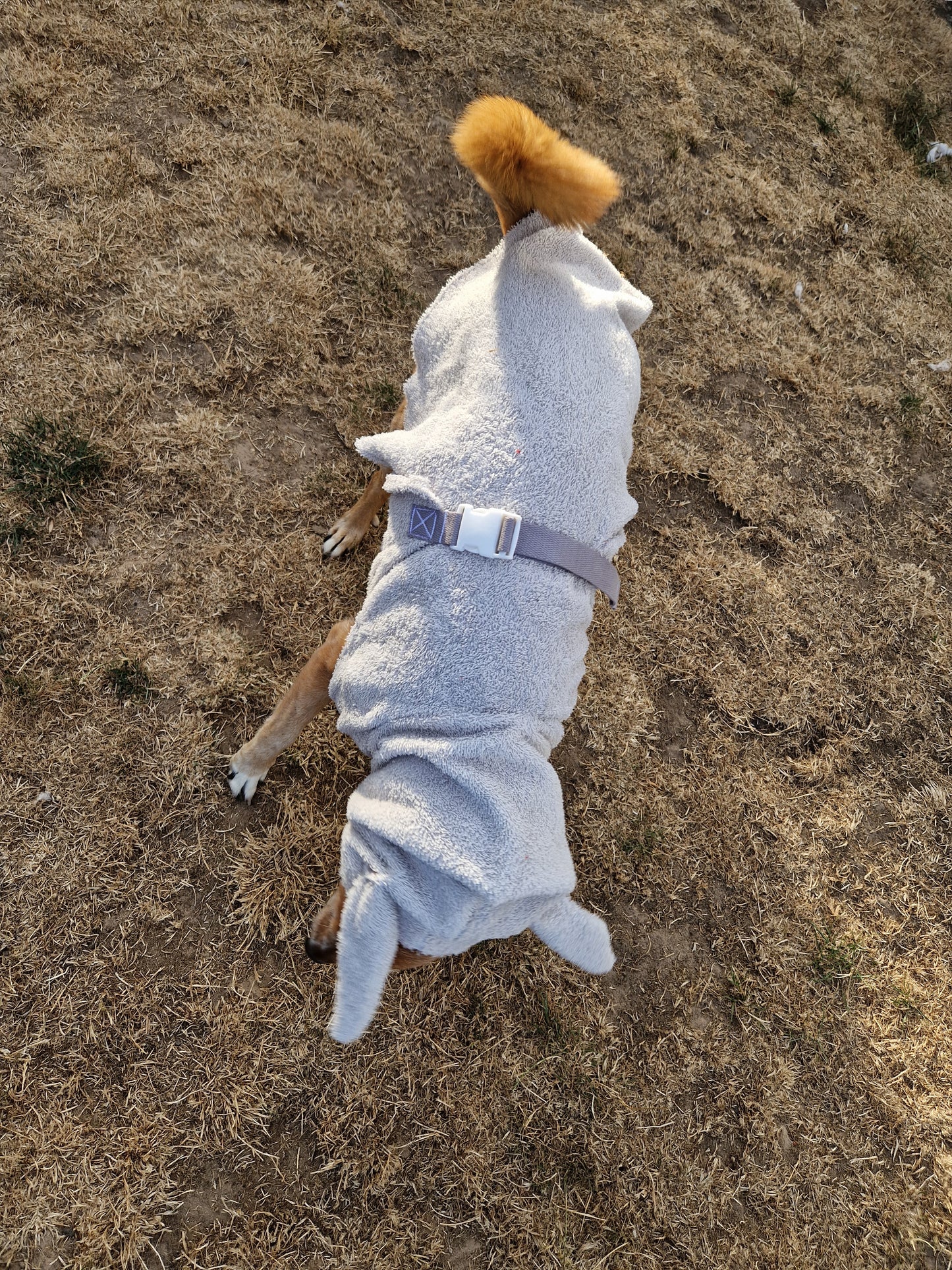 Bademantel little Sheep