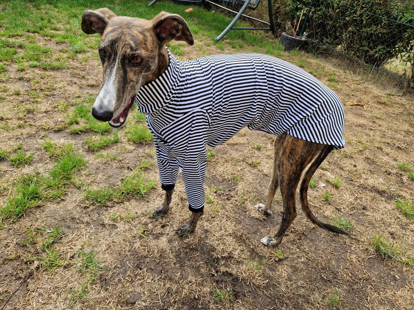 Longsleeve Jailhouse Rock