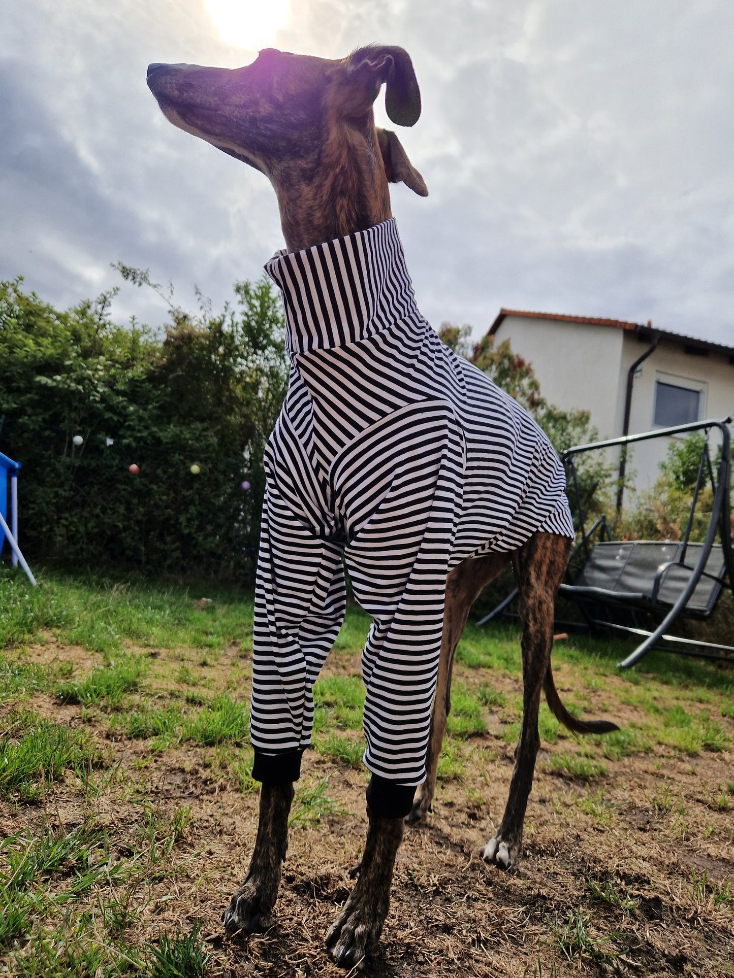 Longsleeve Jailhouse Rock