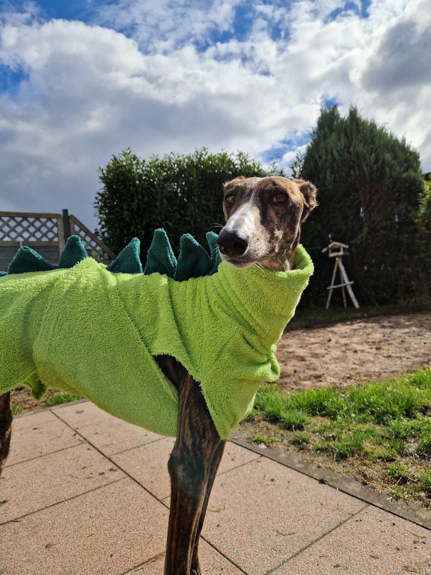 Bademantel little Dinodog