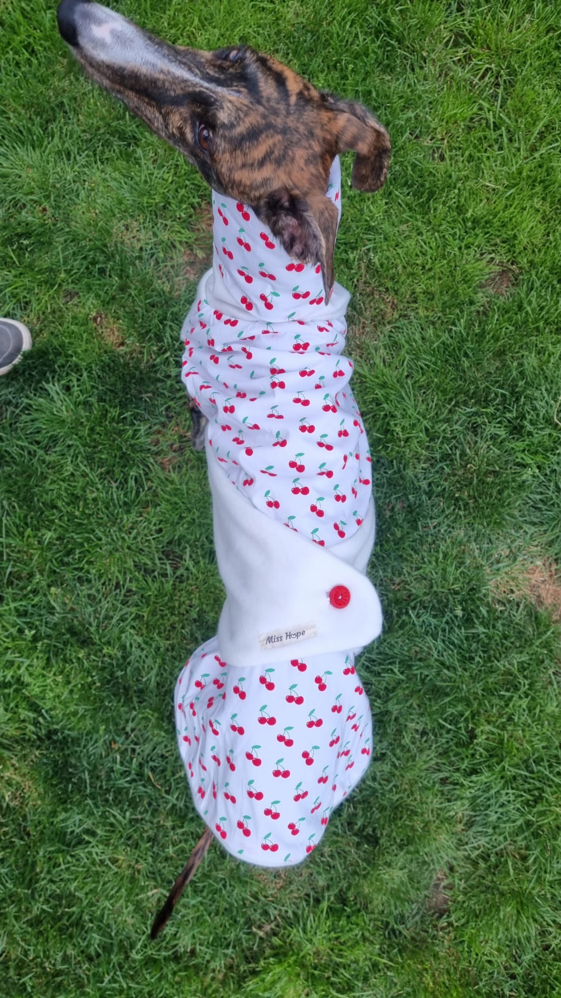 Stoff und Fleece Mäntelchen sweet cherry Größe S