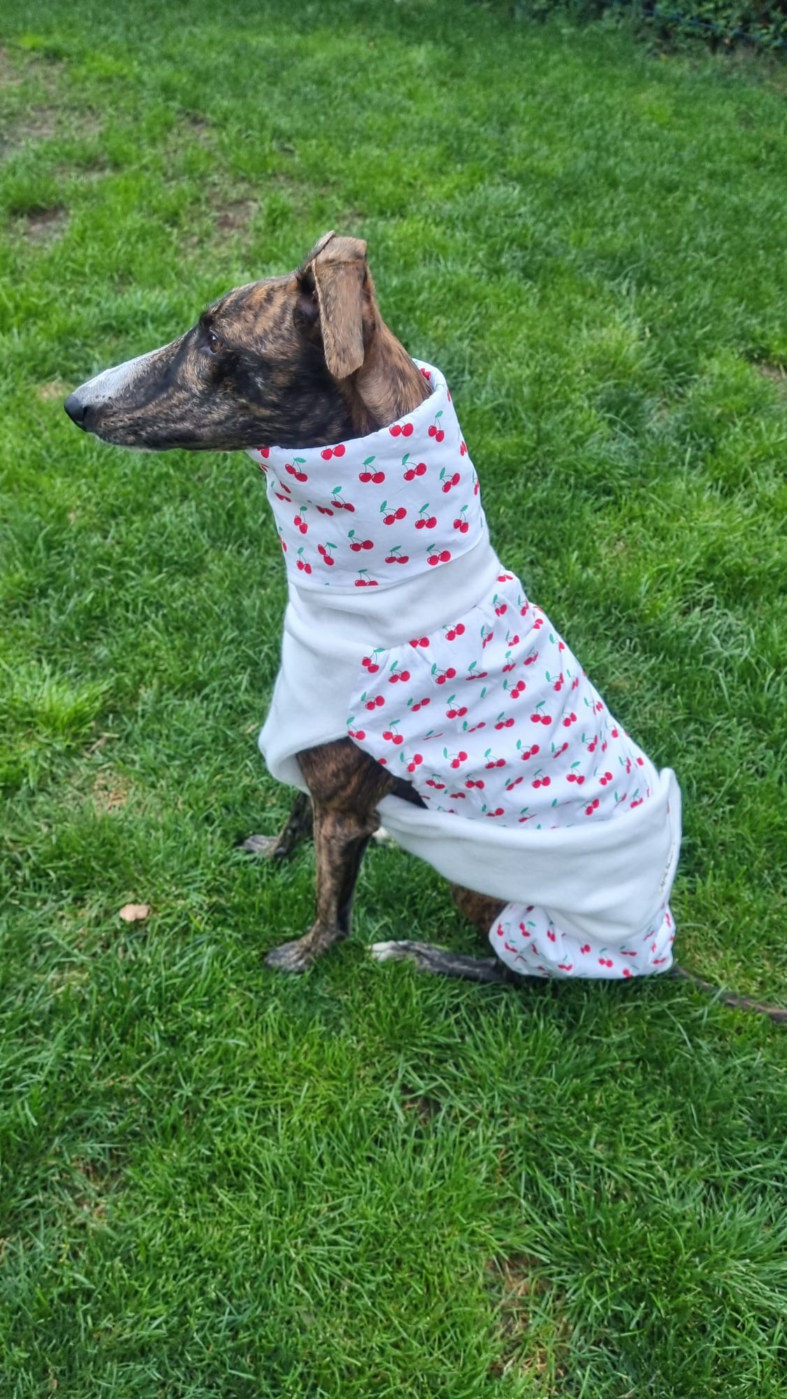 Stoff und Fleece Mäntelchen sweet cherry Größe S