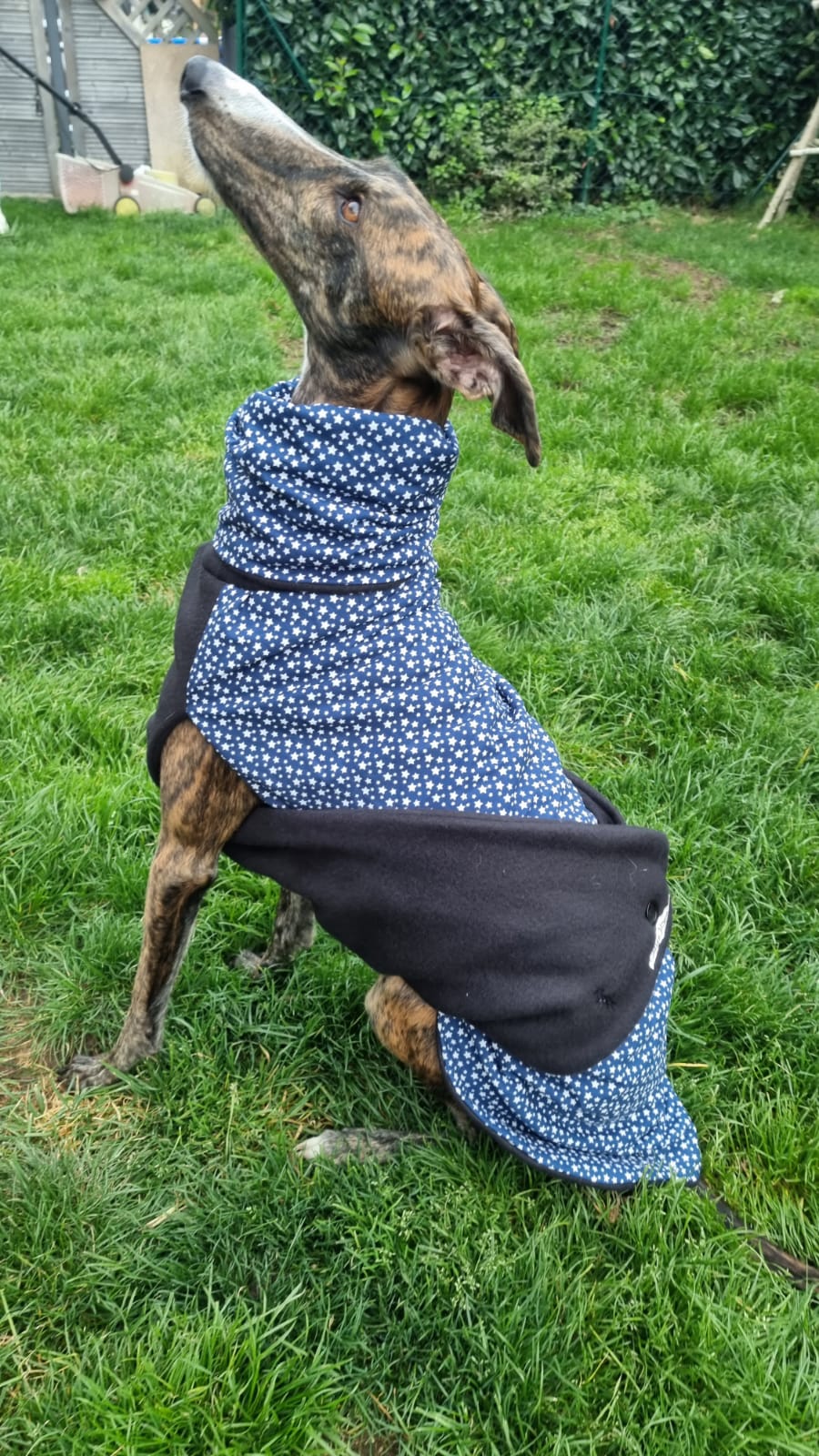 Fleece und Stoffmantel kleines Sternchen Größe M