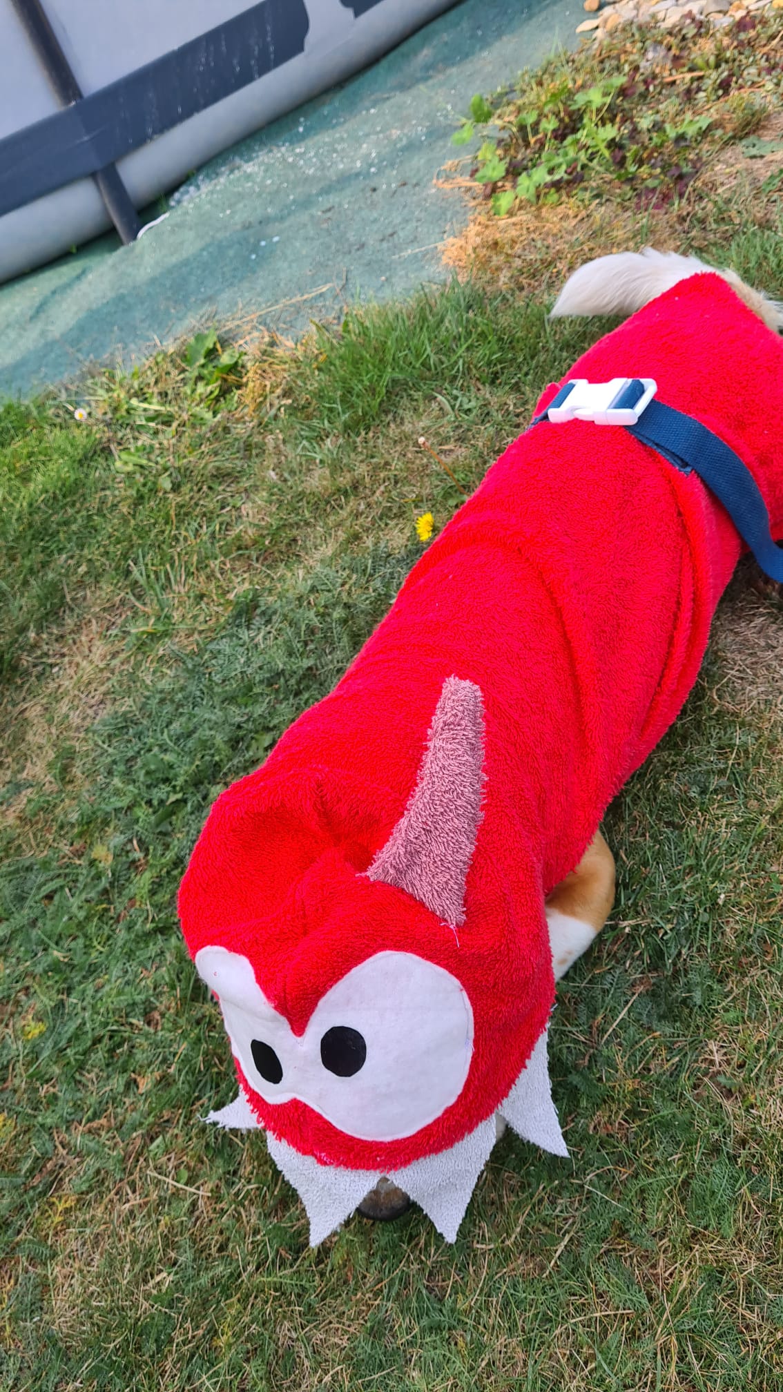 Bademantel little Monster