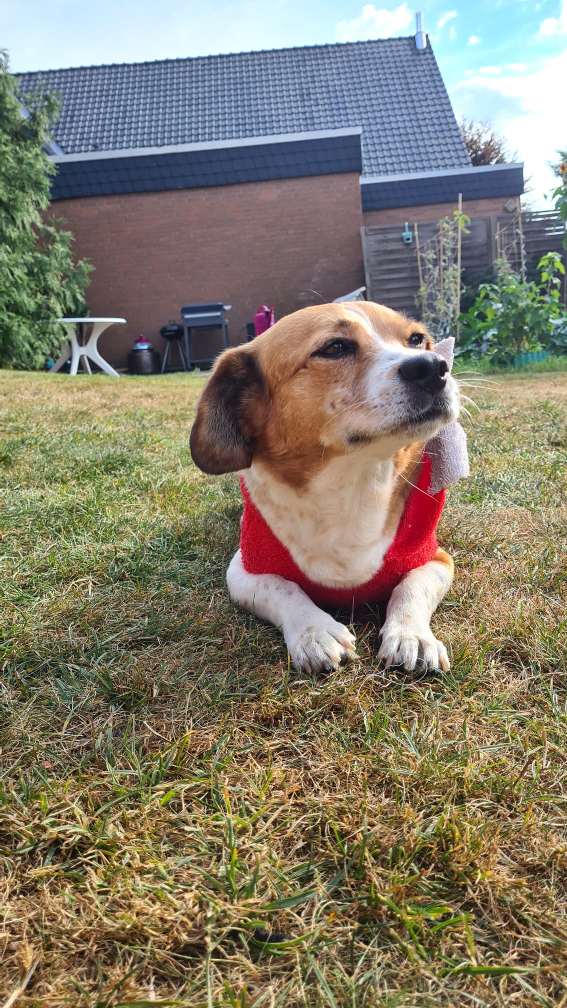 Bademantel little Monster