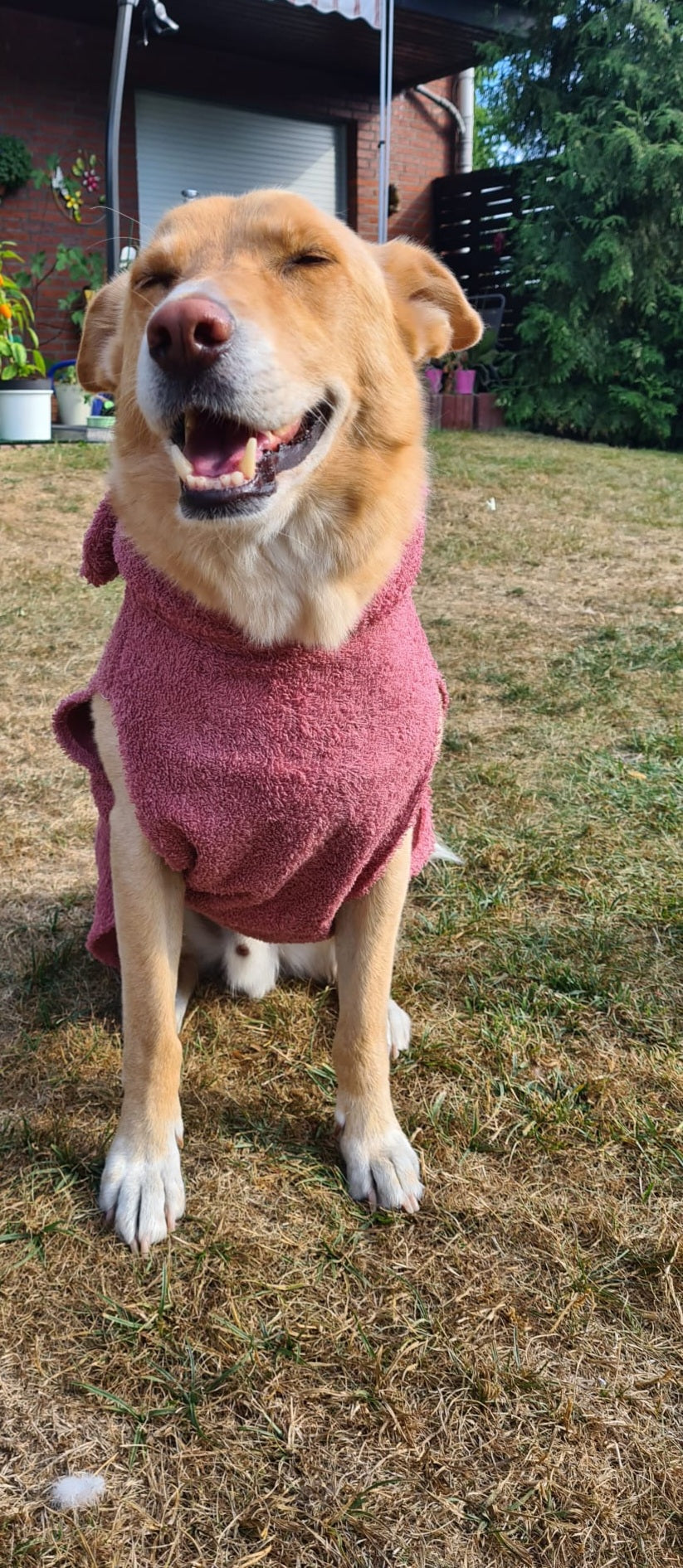 Bademantel little Mouse