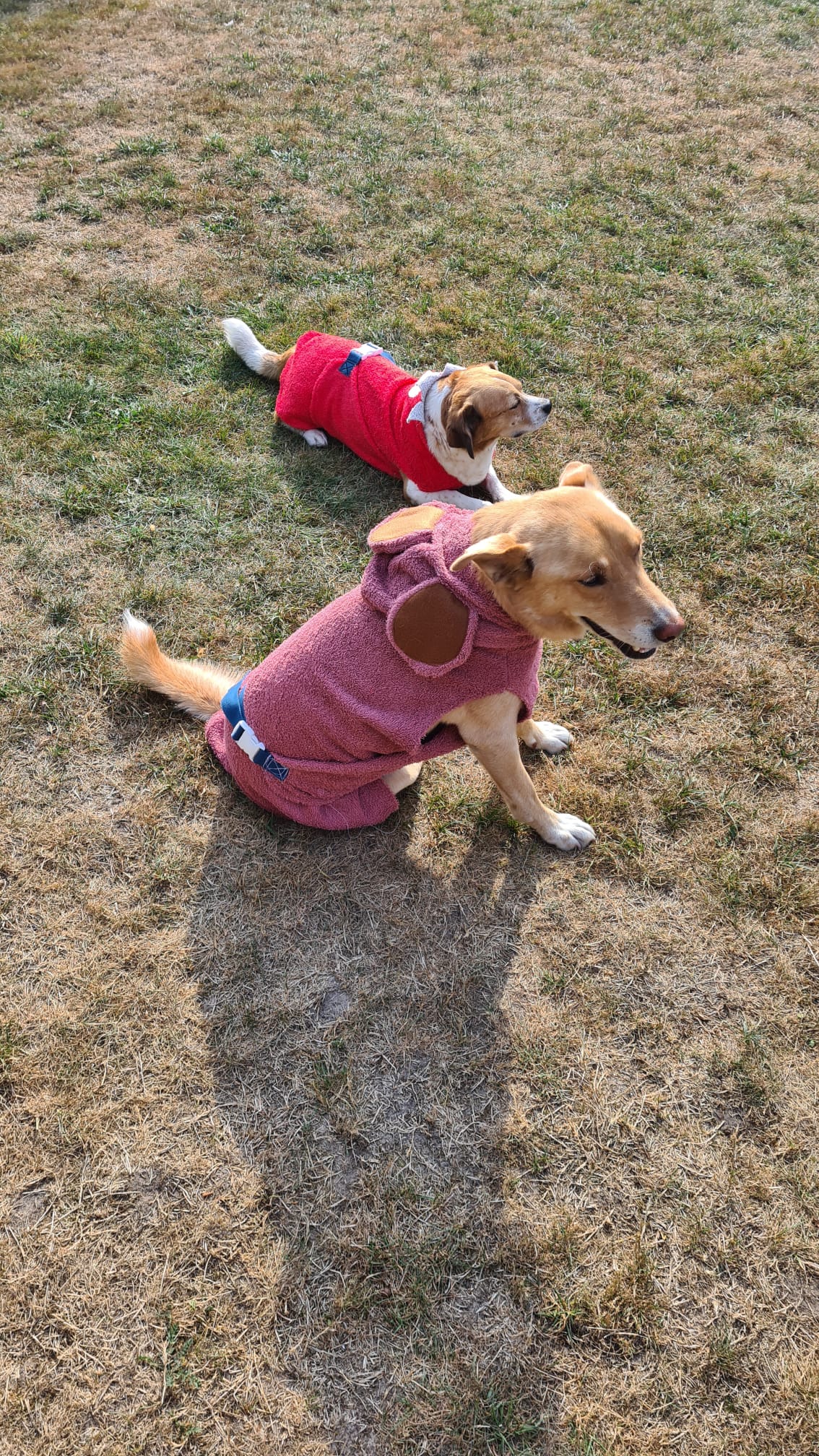 Bademantel little Mouse