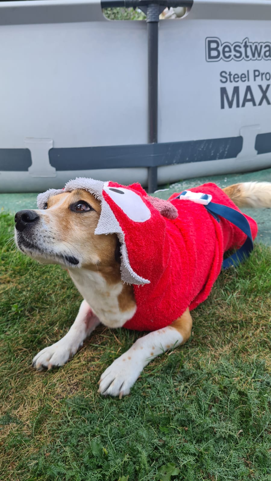 Bademantel little Monster