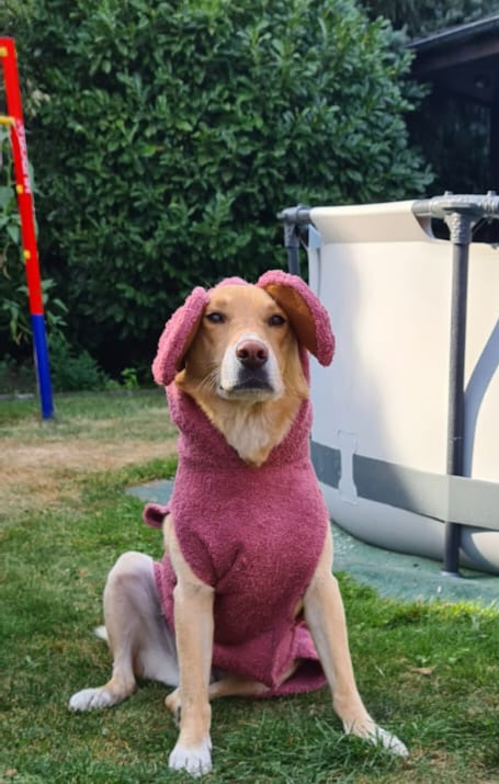 Bademantel little Mouse