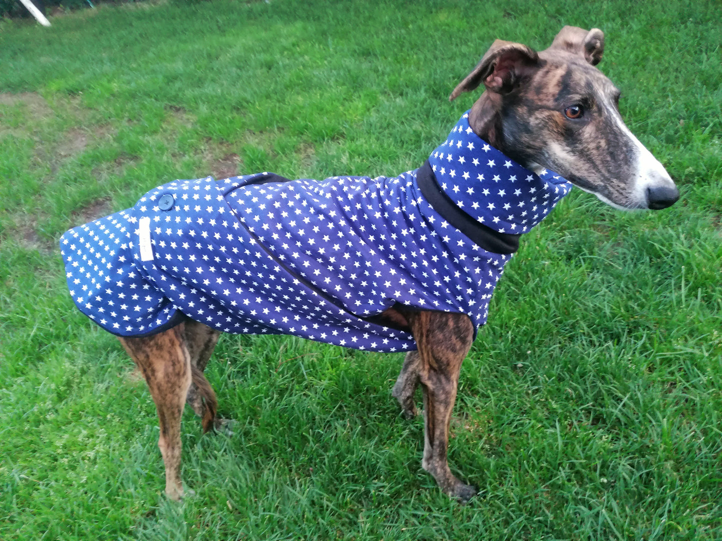 Stoff und Fleece Mäntelchen blaues Sternchen Größe S