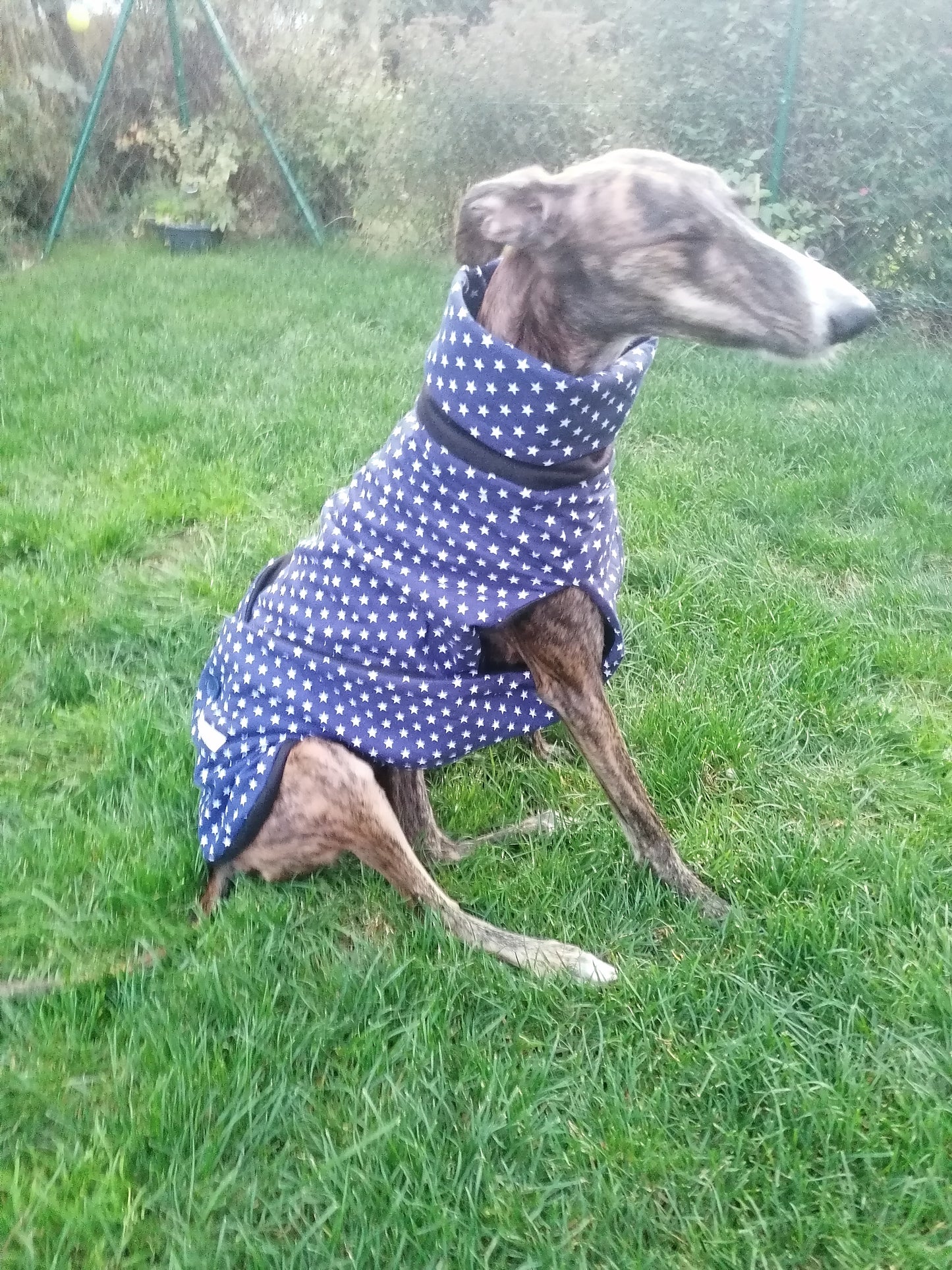 Stoff und Fleece Mäntelchen blaues Sternchen Größe S