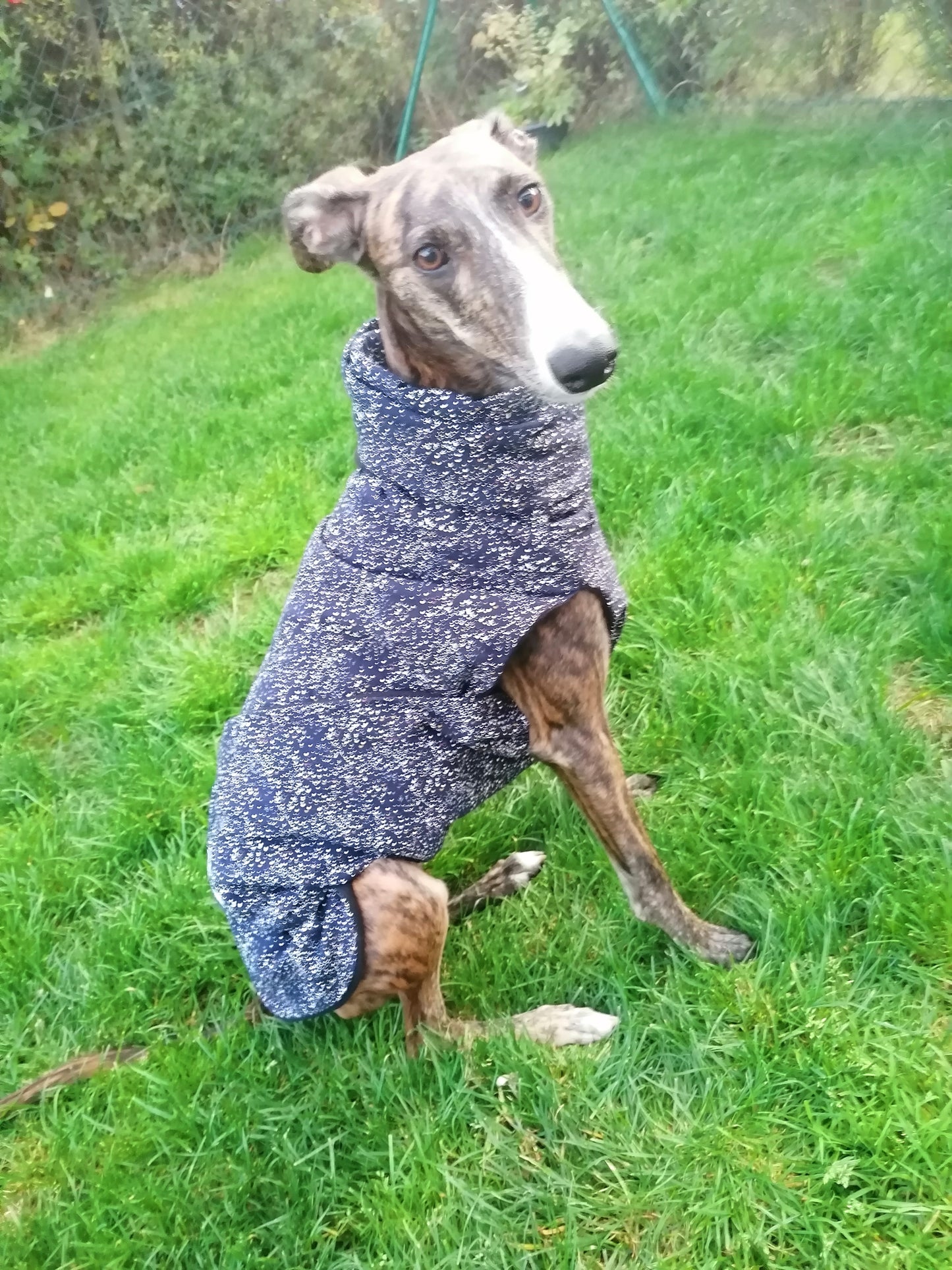 Stoff und Fleece Mäntelchen Farbtupfern größe S