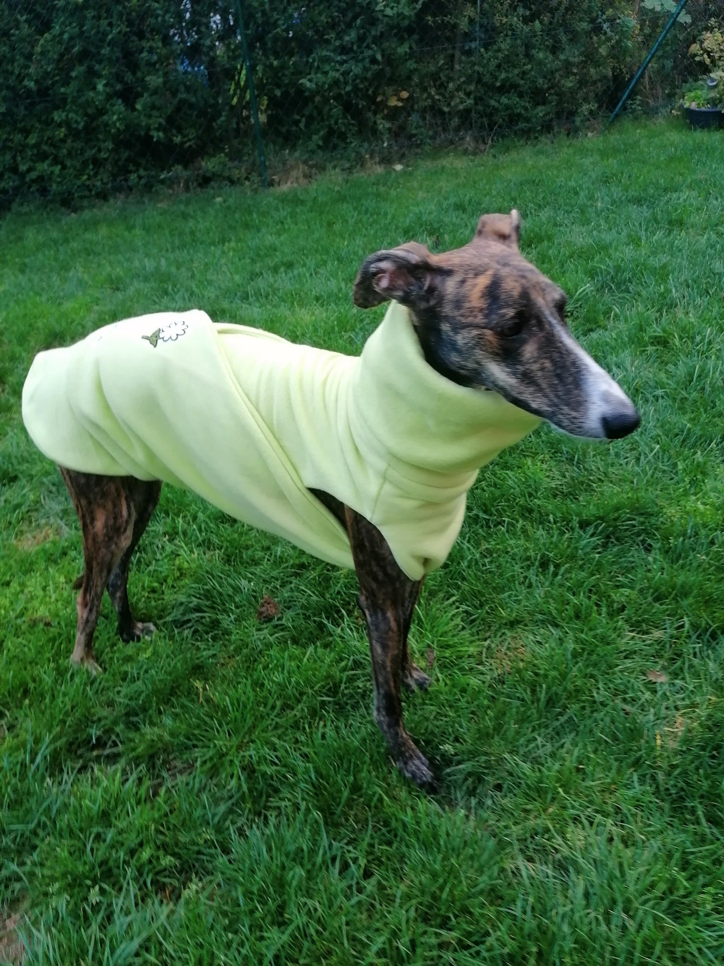 Hellgrüner Fleecemantel Frühlingslook Größe S