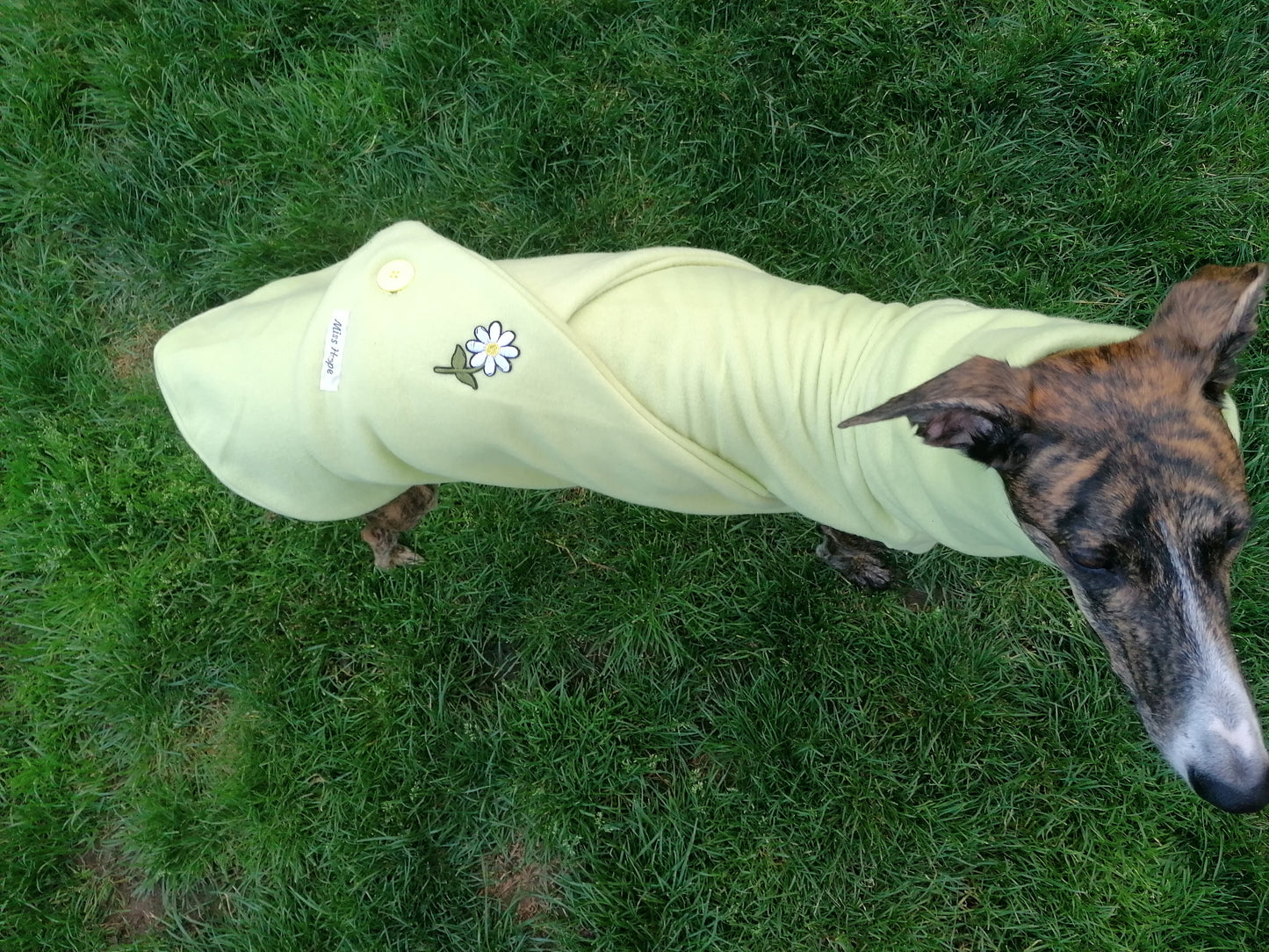 Hellgrüner Fleecemantel Frühlingslook Größe S