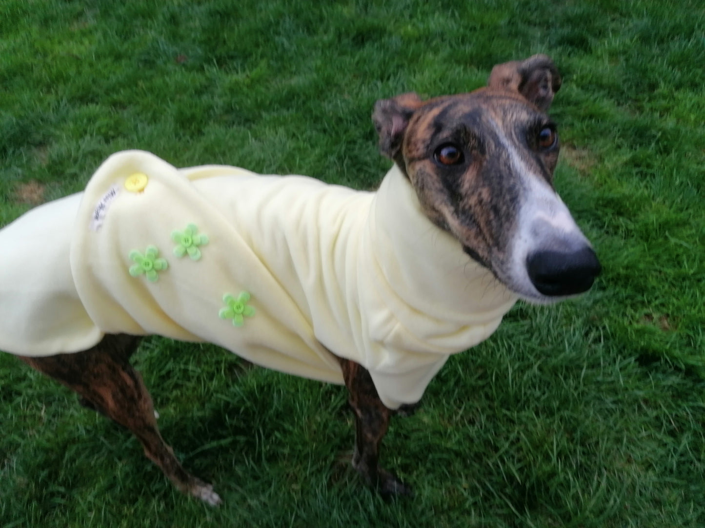 Fleecemantel im Frühlingslook Größe S