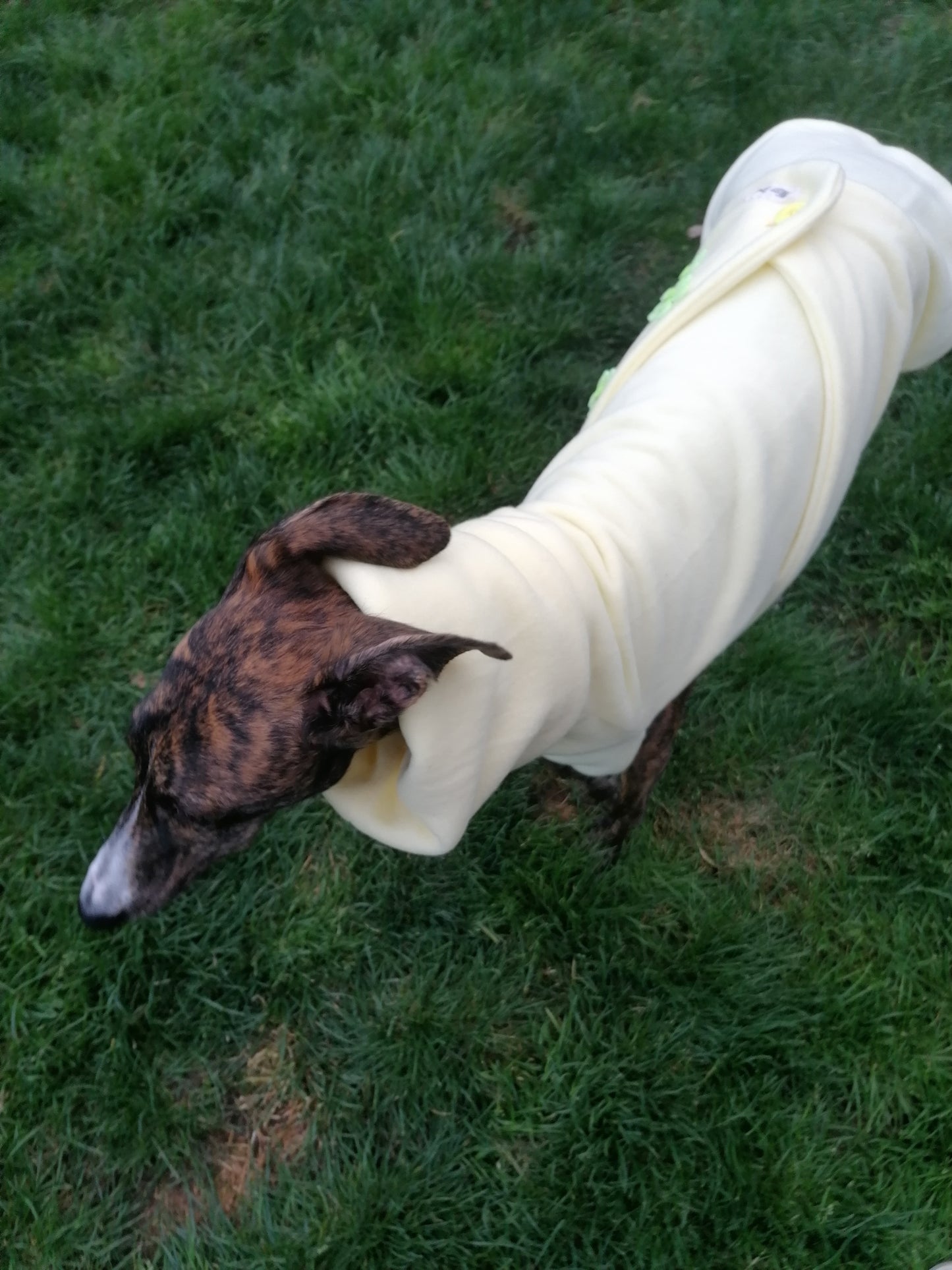 Fleecemantel im Frühlingslook Größe S