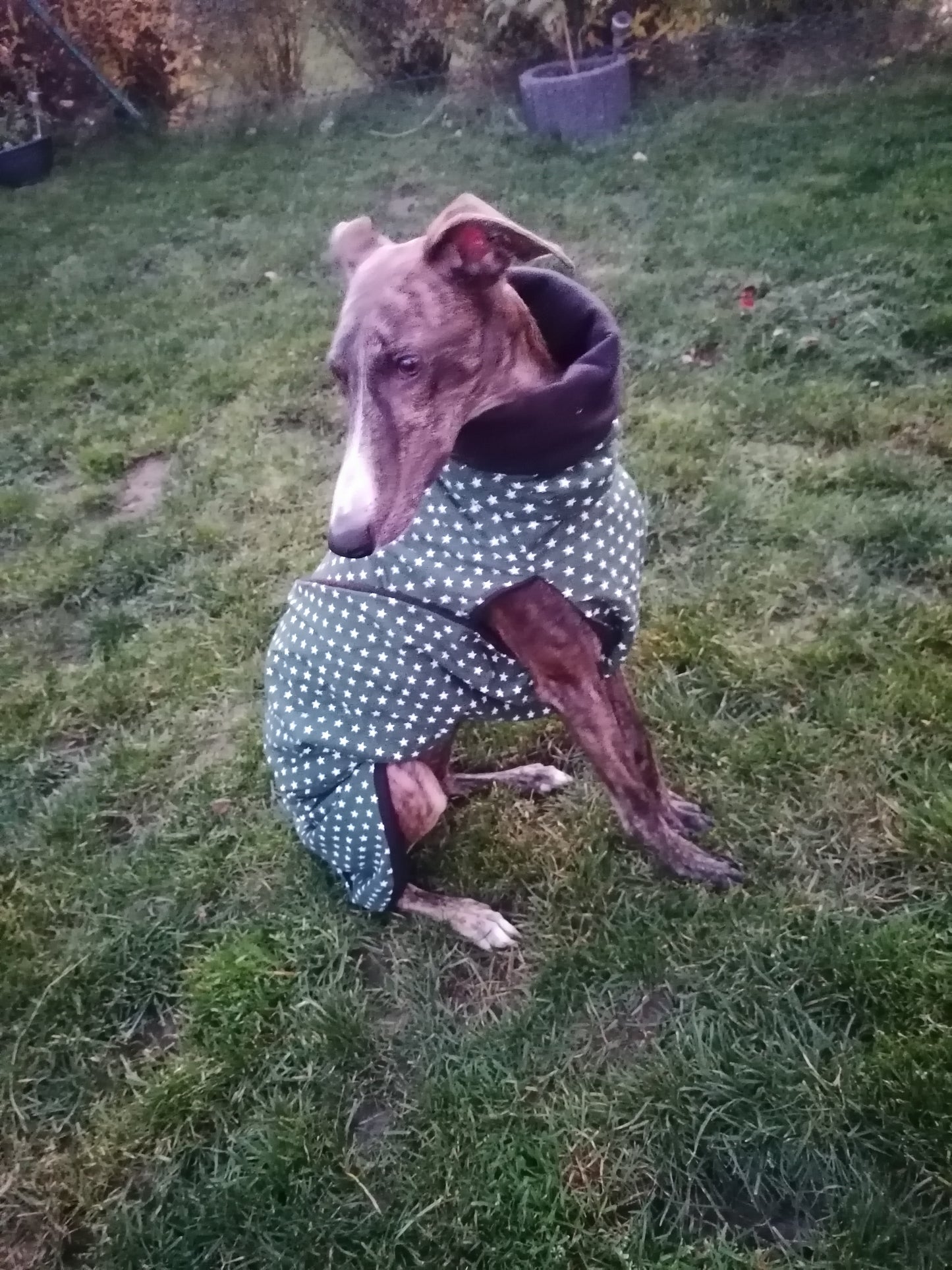 Stoff und Fleecemantel grünes Sternchen Größe M/L